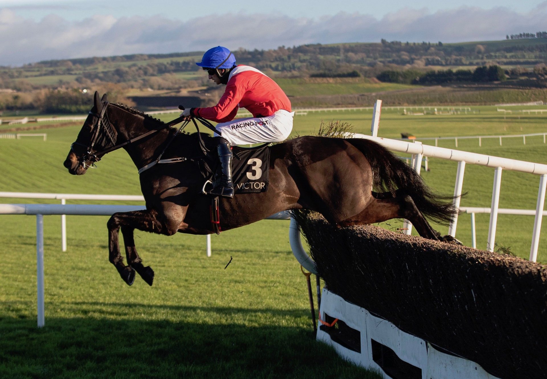 Ferny Hollow (Westerner) Makes A Winning Chase Debut At Punchestown