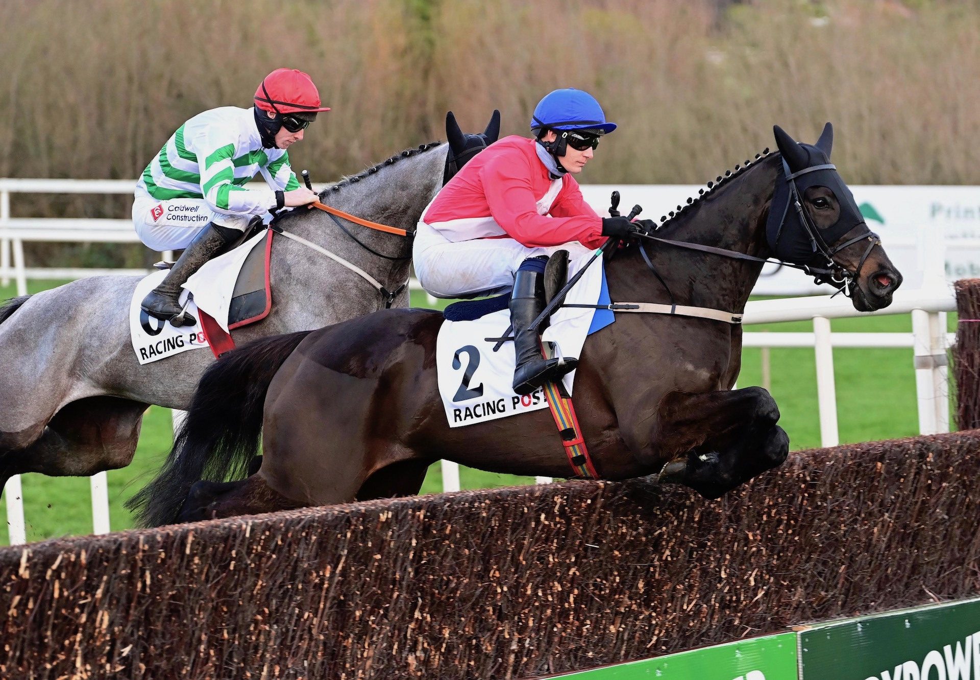 Ferny Hollow (Westerner) Wins The Grade 1 Racing Post Novice Chase at Leopardstown