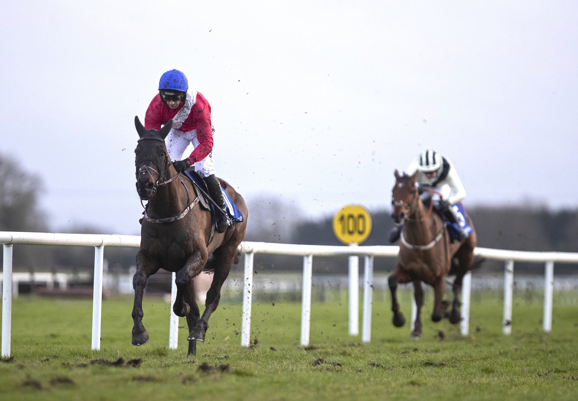 Ferny Hollow (Westerner) Wins The Bumper At Fairyhouse