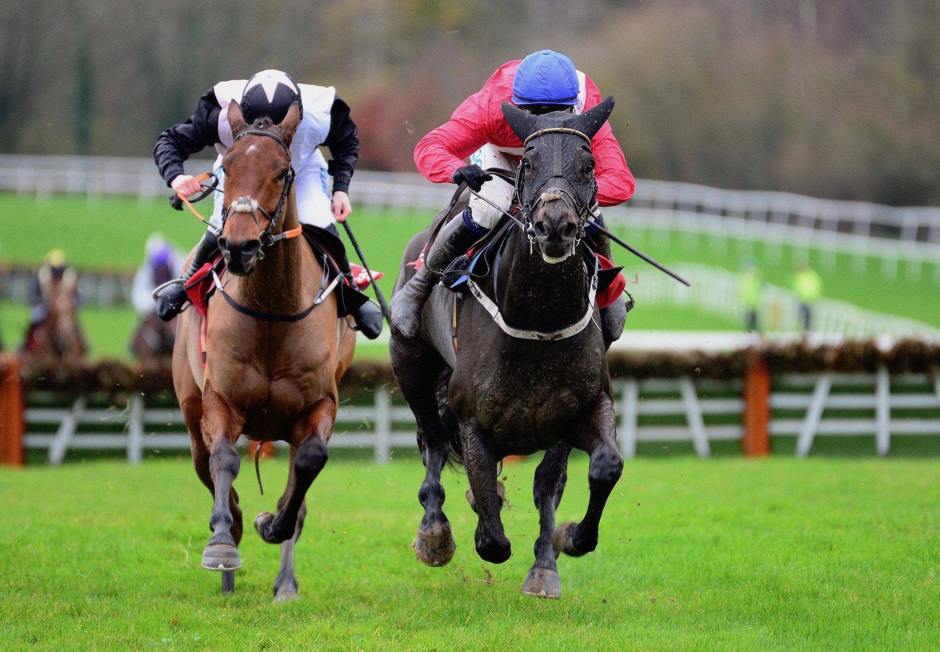 Ferny Hollow (Westerner) Wins The Maiden Hurdle At Gowran Park