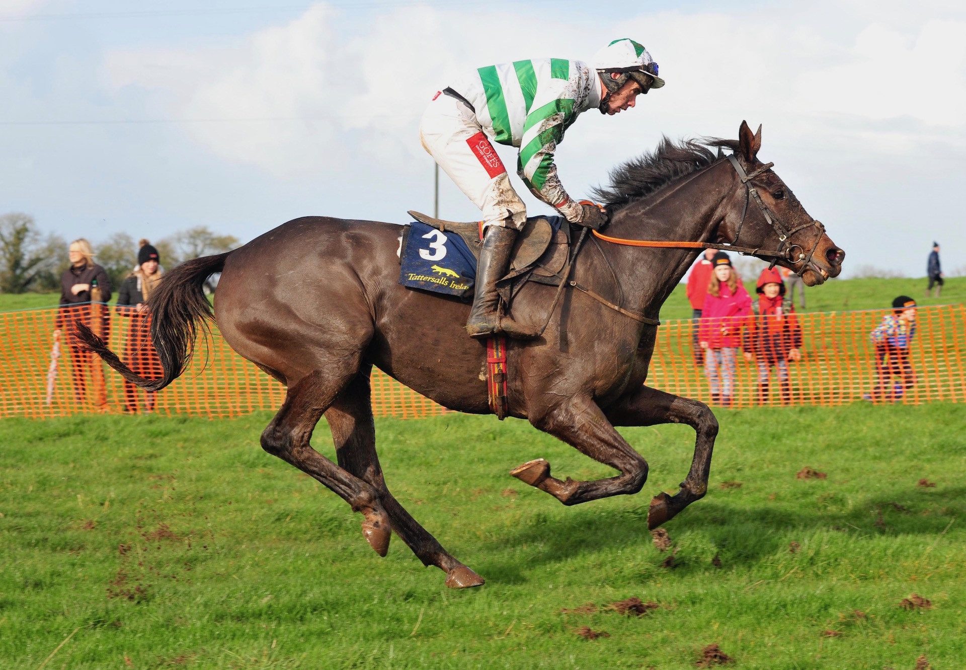 Feronily (Getaway) Impresses At Rathcannon