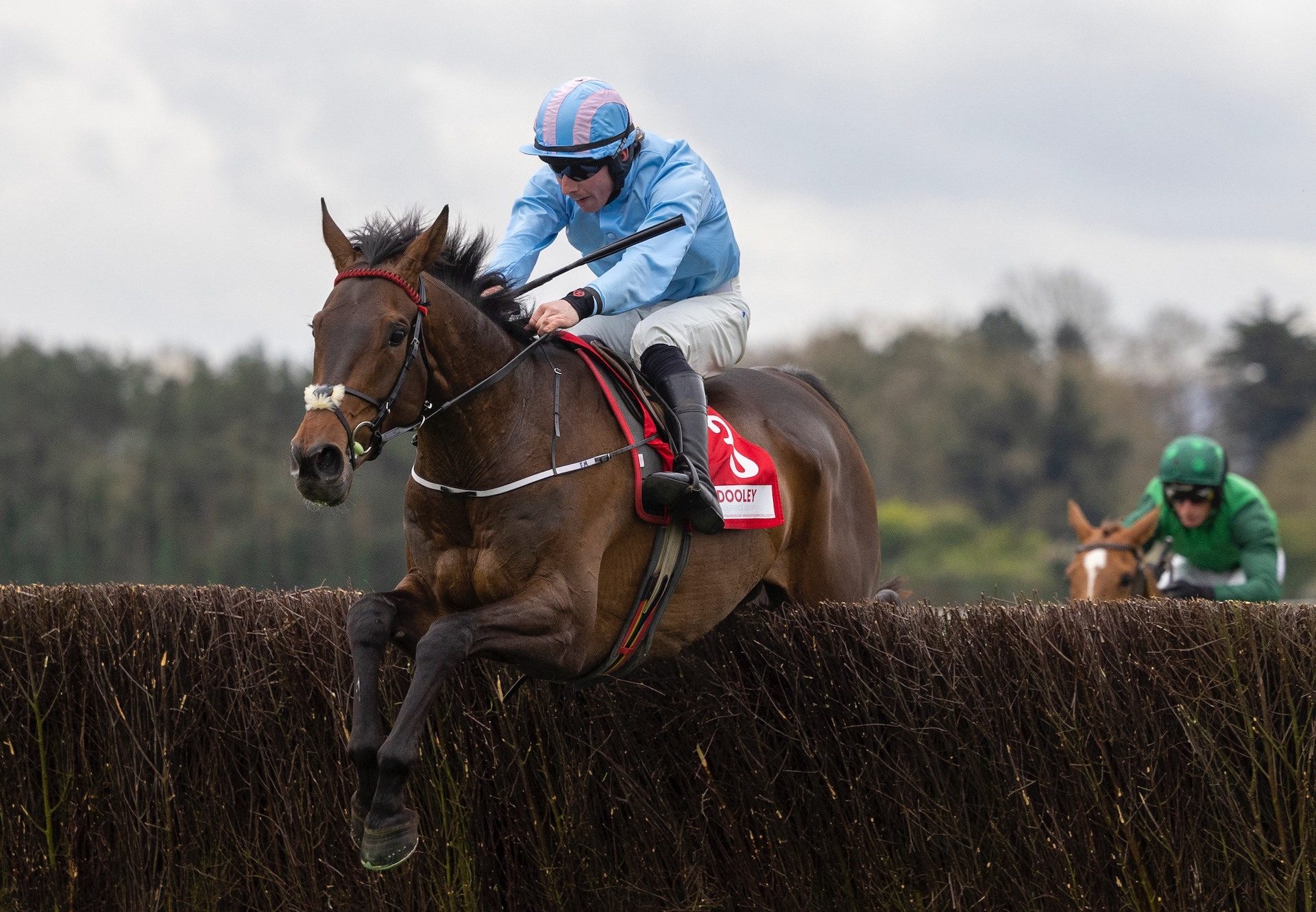 Feronily (Getaway) Wins The Grade 1 Champion Novice Chase At The Punchestown Festival