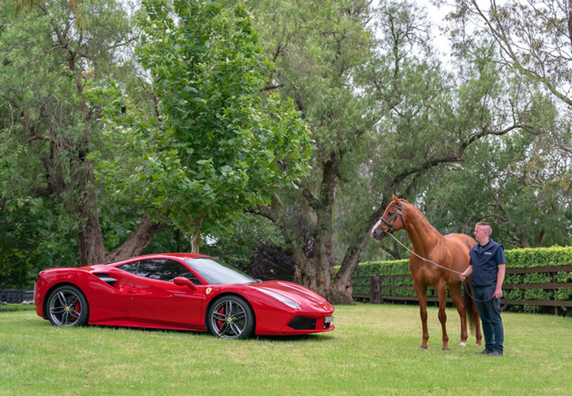 Justify pictured with Ferrari