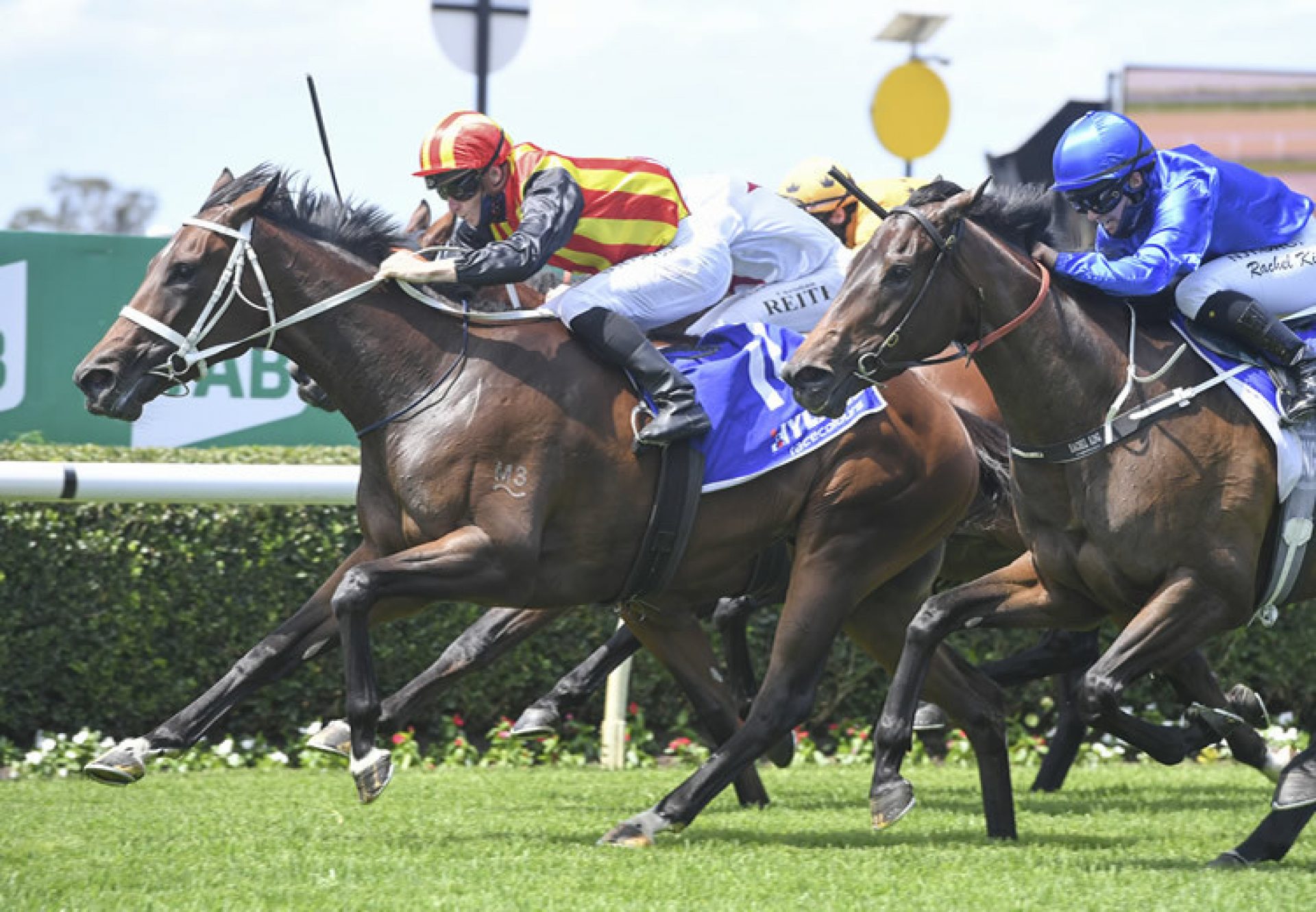 Fifteen Aria (Fastnet Rock) winning at Warwick Farm