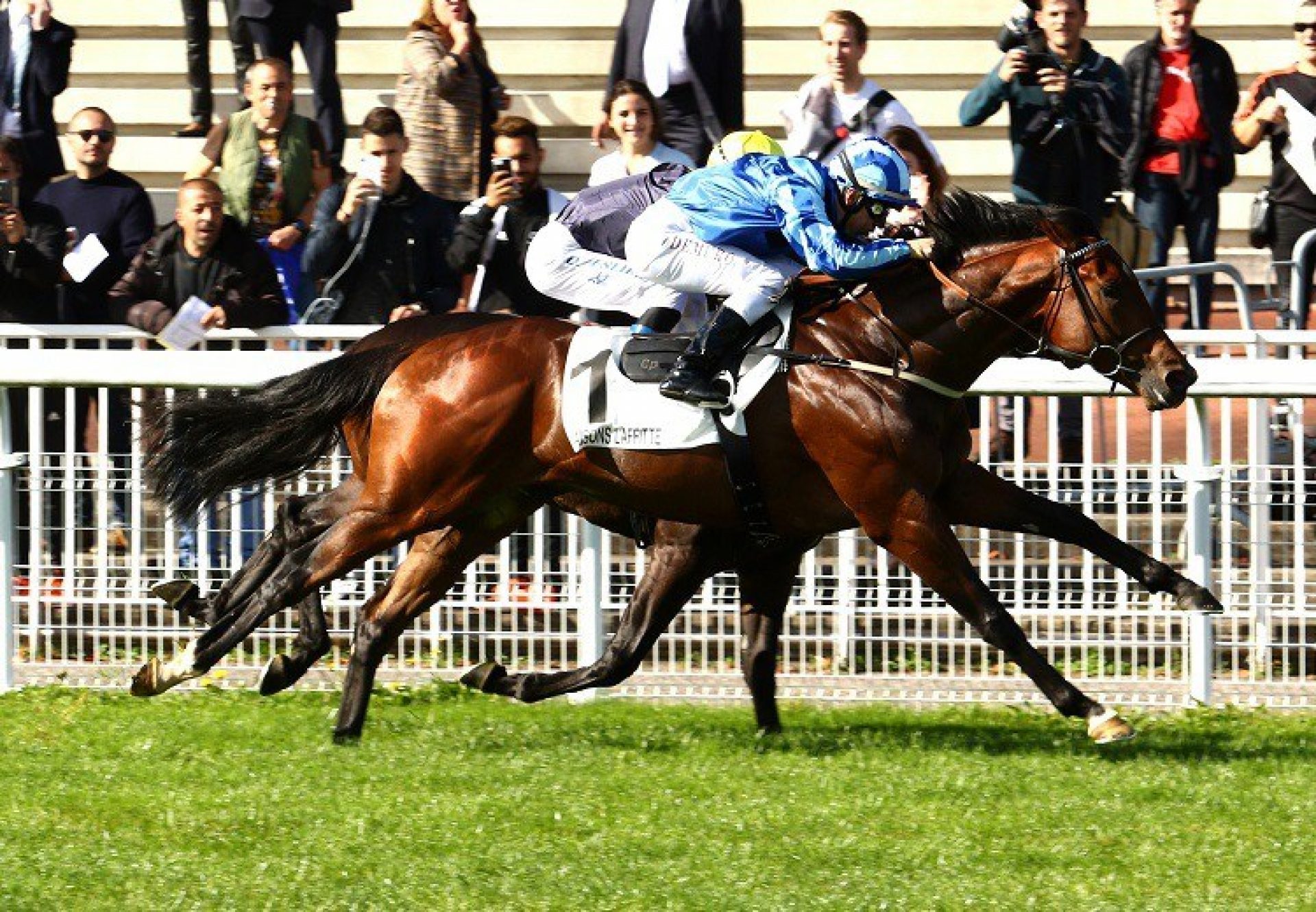 Fighting Irish (Camelot) G2 Criterium De Maisons Laffitte Web