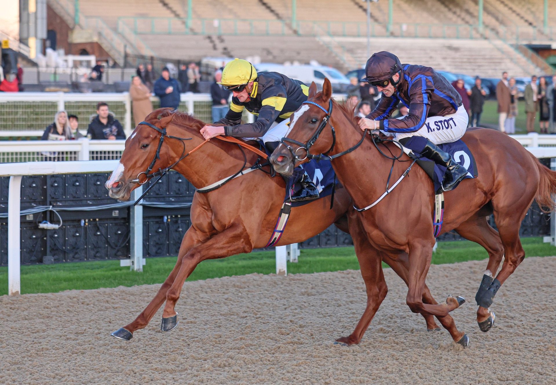 Filly One (Calyx) Wins On Debut at Newcastle