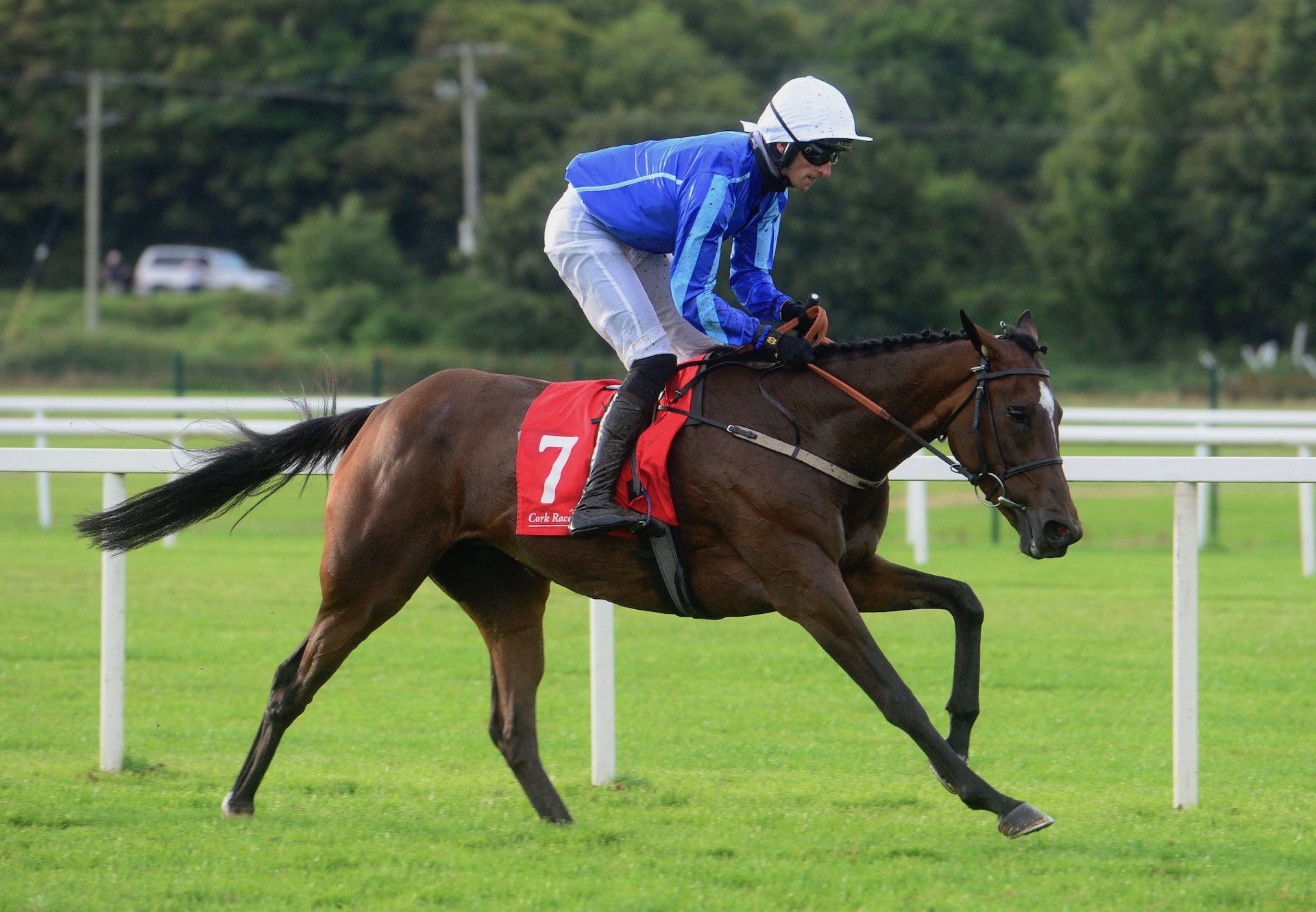 Finest Evermore (Yeats) Wins The Bumper At Cork