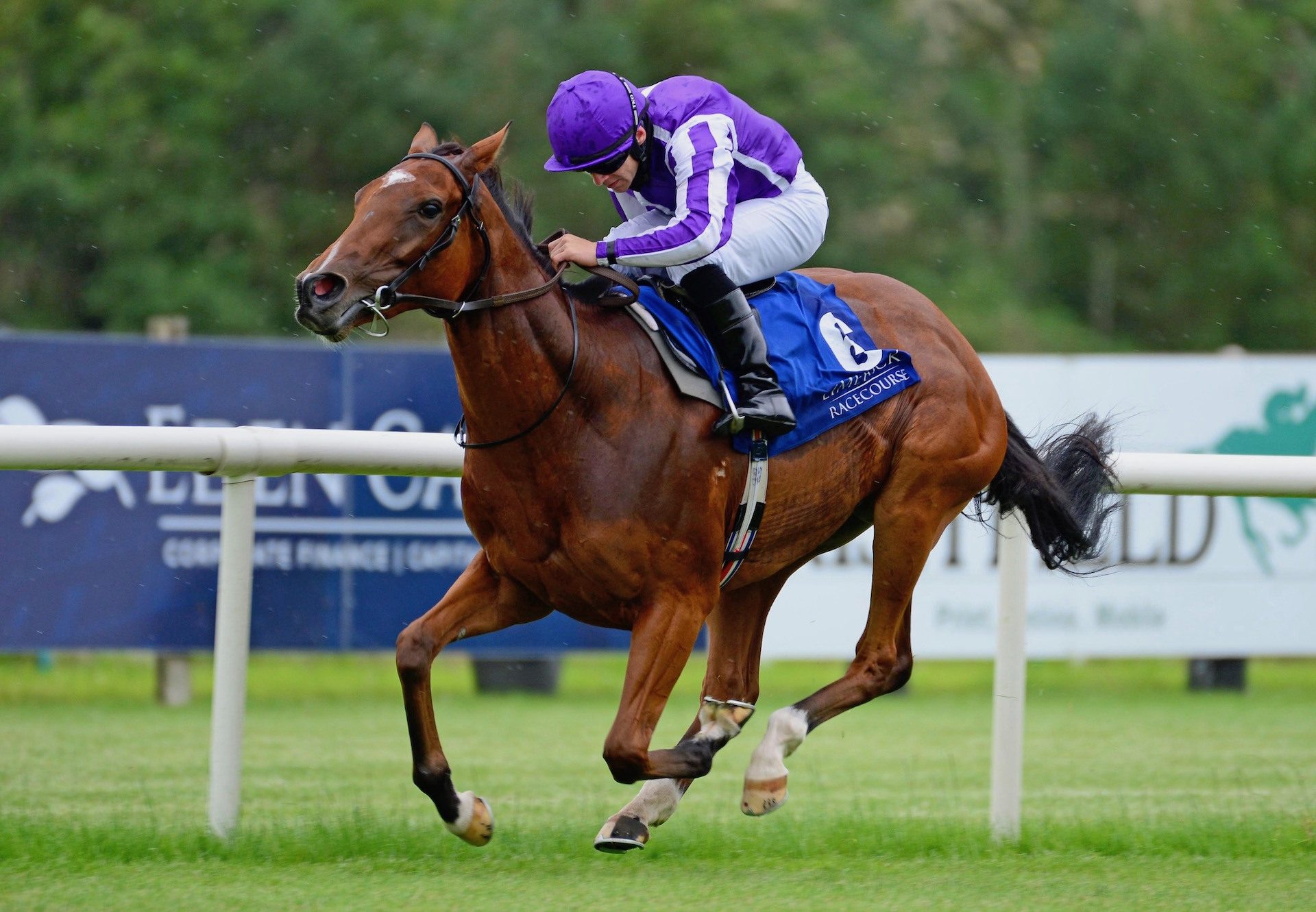 Finest (The Gurkha) Wins The Fillies Maiden At Limerick