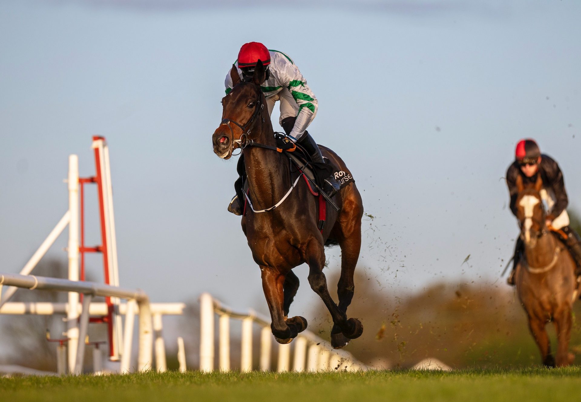 Firefox (Walk In The Park) Wins The Bumper At Down Royal