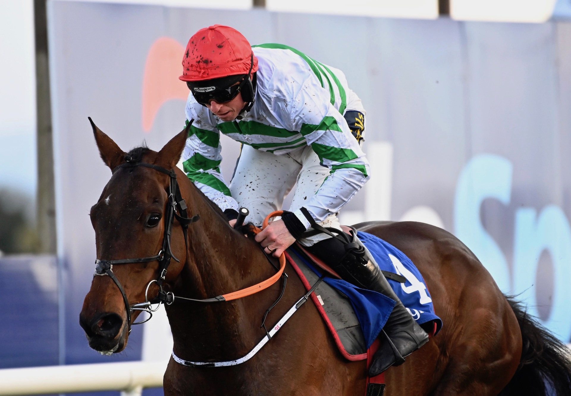 Firefox (Walk In The Park) Wins The Bumper At Fairyhouse