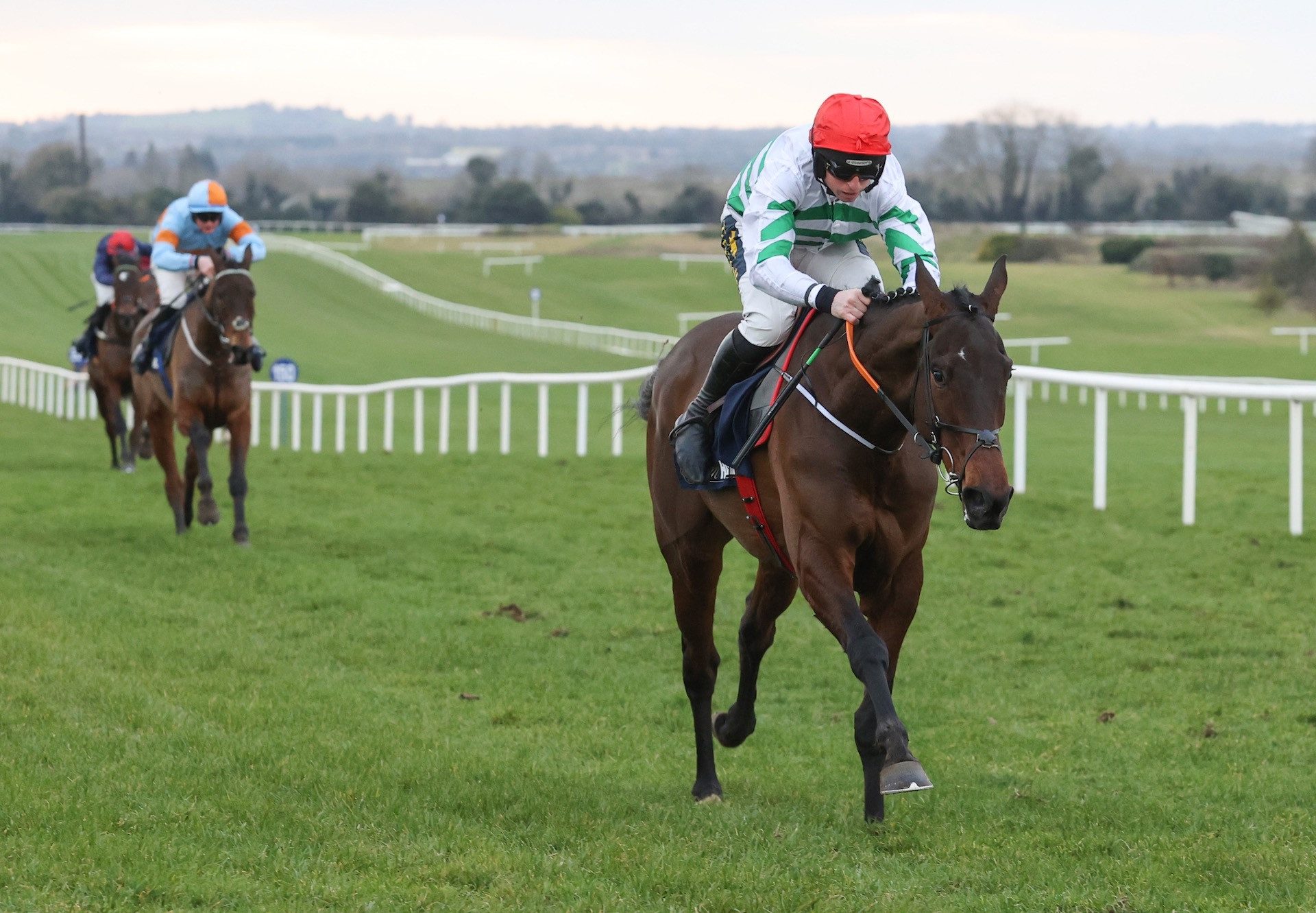 Firefox (Walk In The Park) Wins The Bumper At Navan