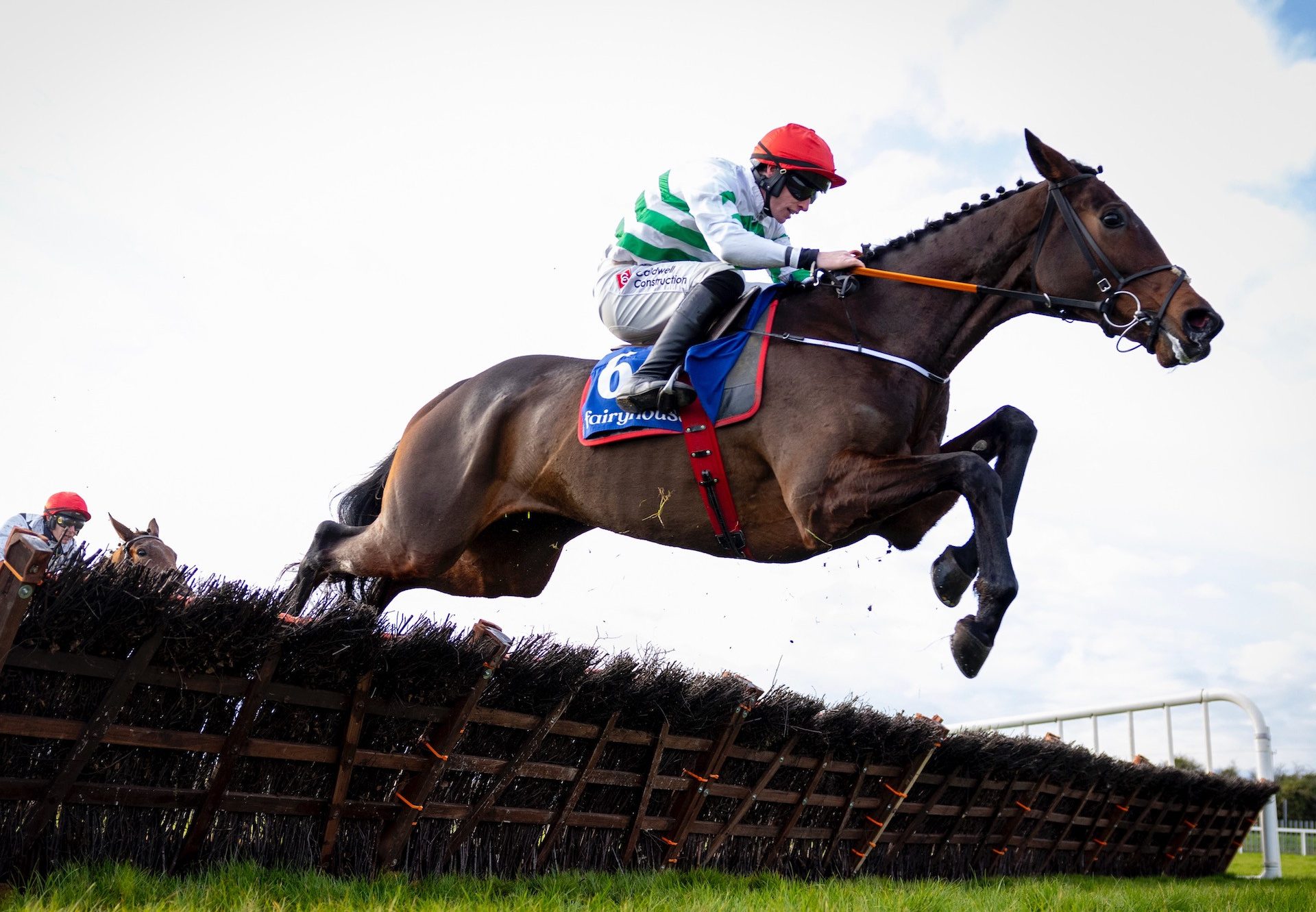 Firefox (Walk In The Park) Wins The Maiden Hurdle At Fairyhouse