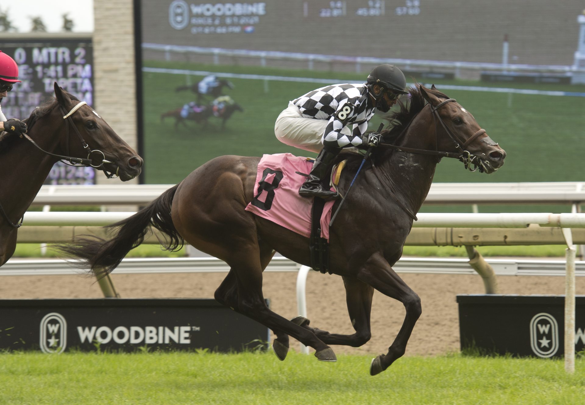 First Empire (Classic Empire) Winning At Woodbine