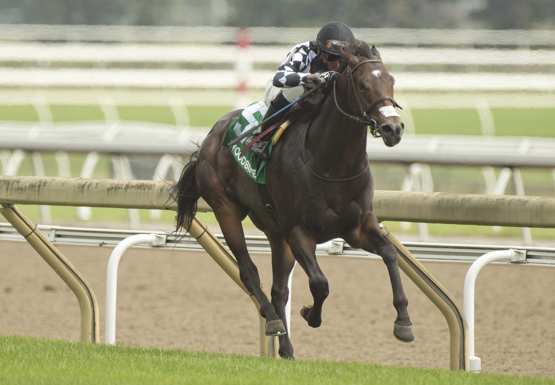 First Empire (Classic Empire) Winning The Soaring Free Stakes at Woodbine