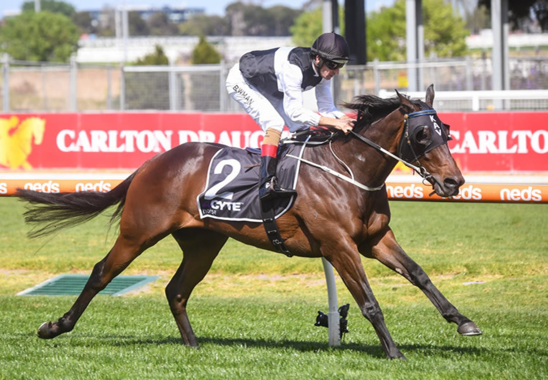 First Immortal (Churchill) wins at Caulfield