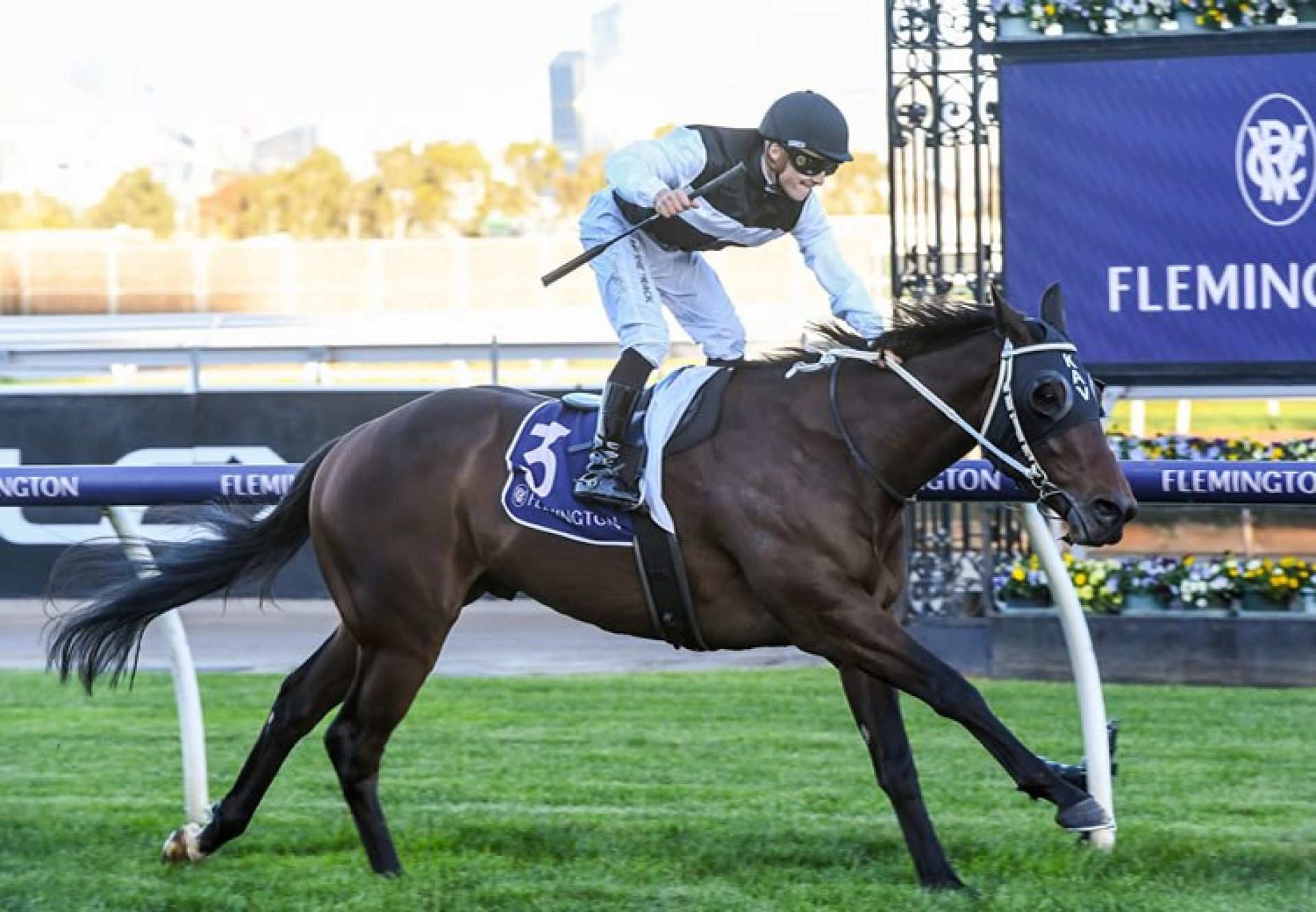 First Immortal (Churchill) wins at Flemington