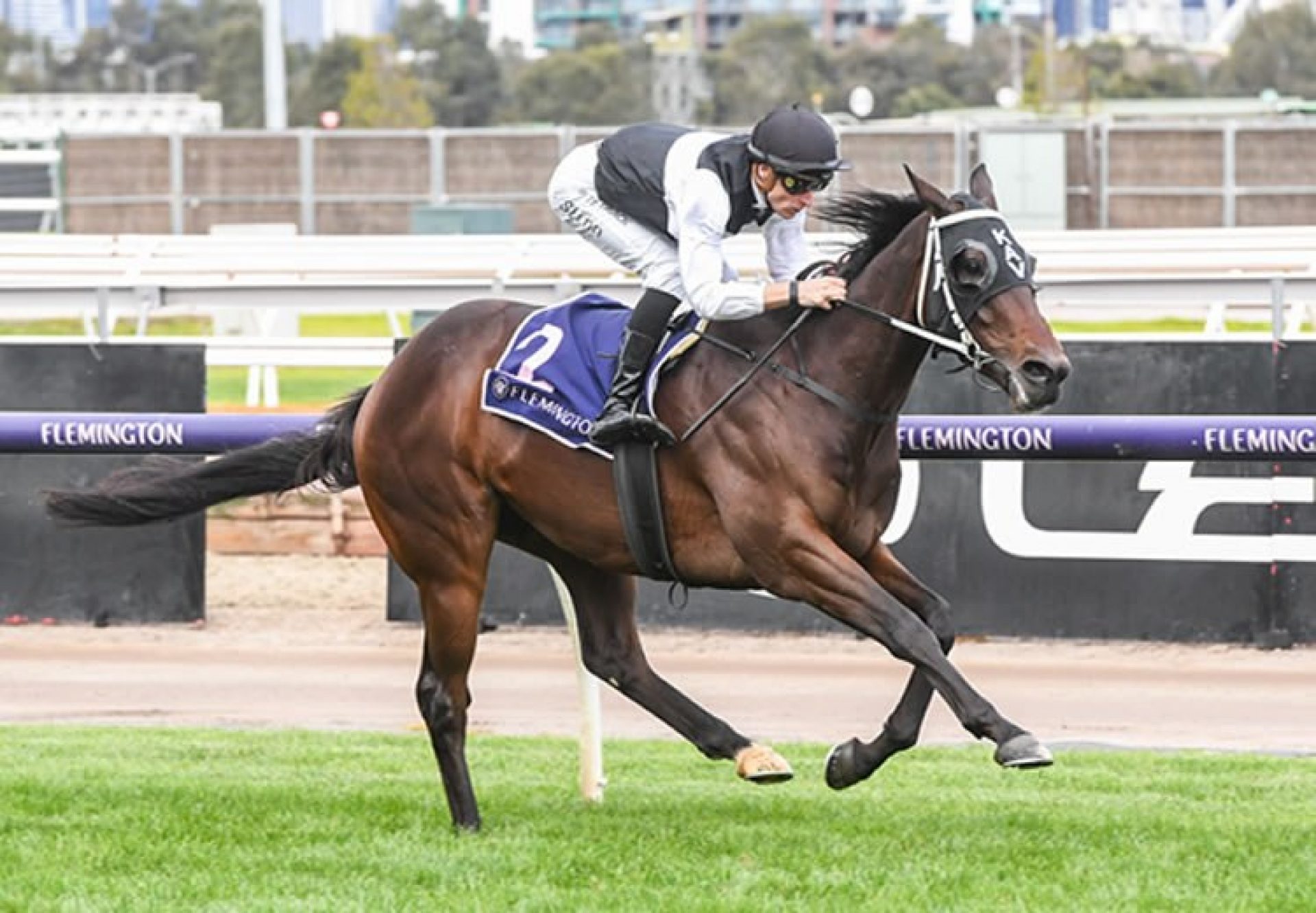 First Immortal (Churchill) wins at Flemington