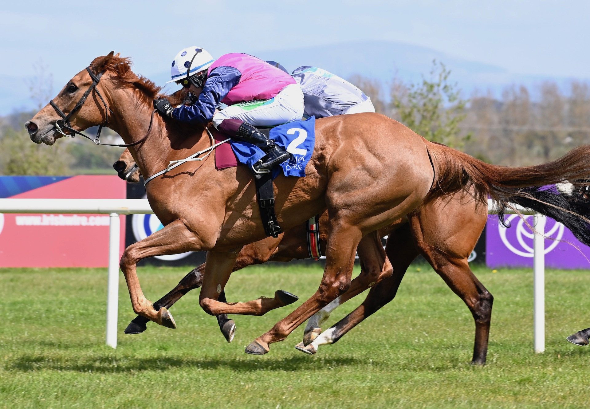 Fizzical (Starspangledbanner) Wins On Debut At Limerick