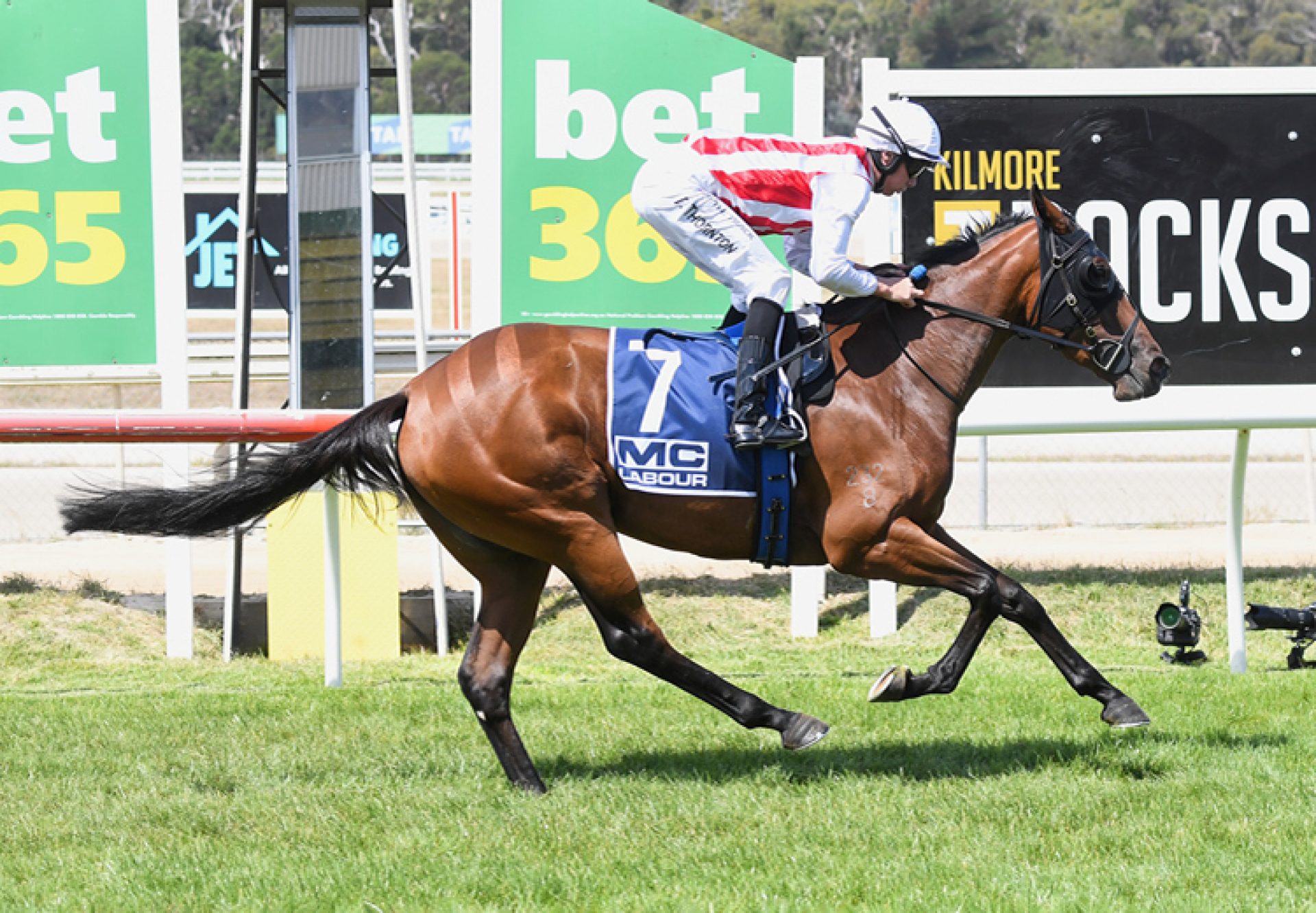 Fjord (Fastnet Rock) winning at Kilmore