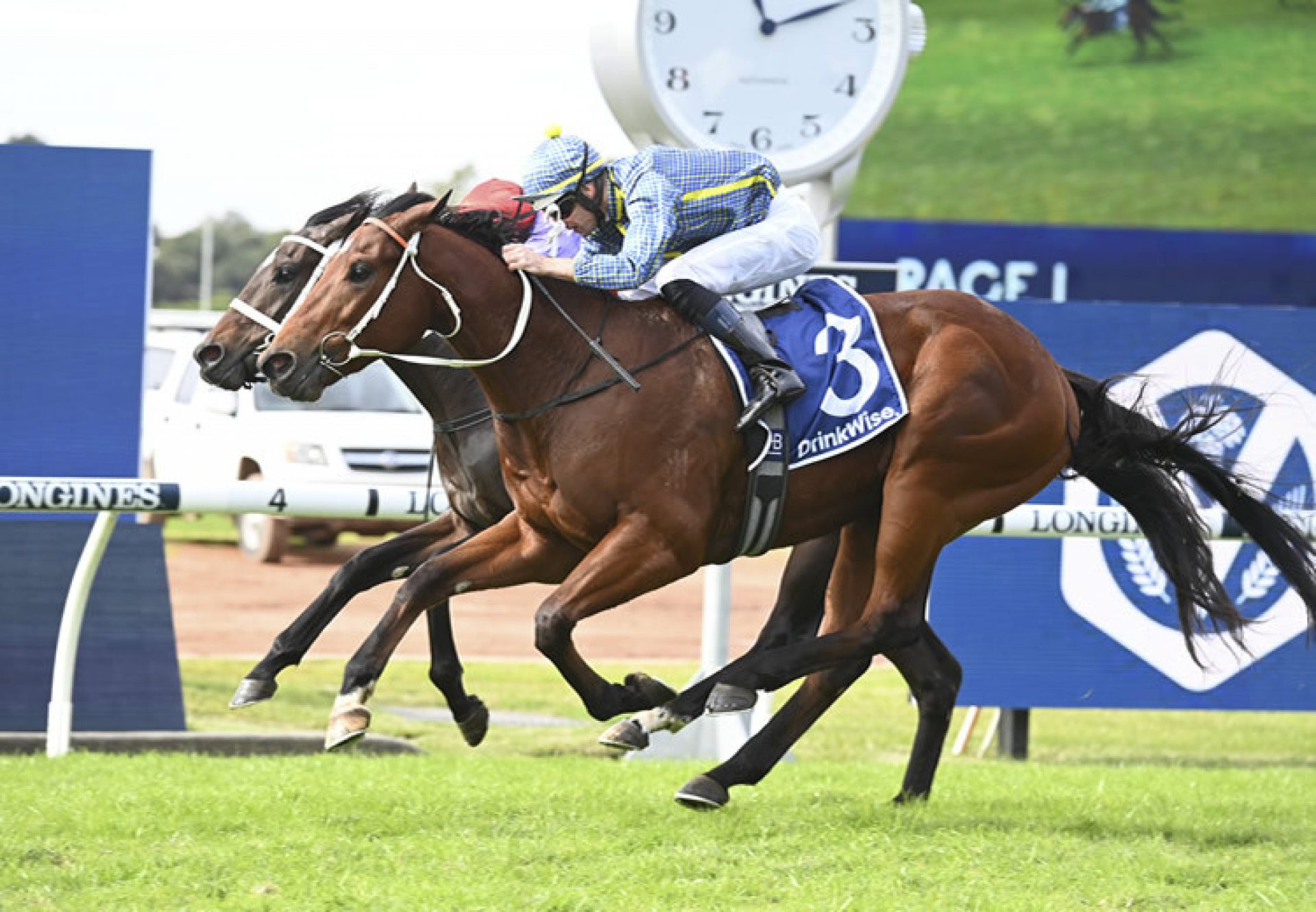 Flag Of Honour (American Pharoah) wins at Rosehill