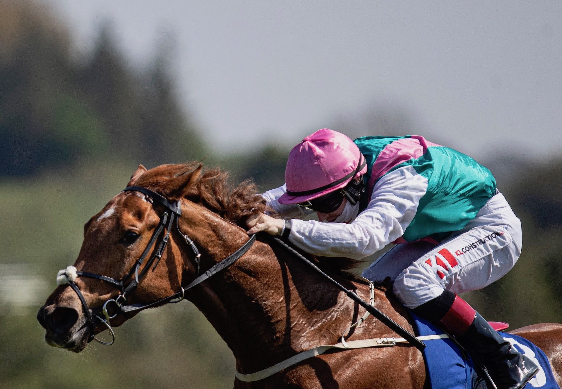 Flagged (Starspangledbanner) Wins The Fillies Maiden At Limerick