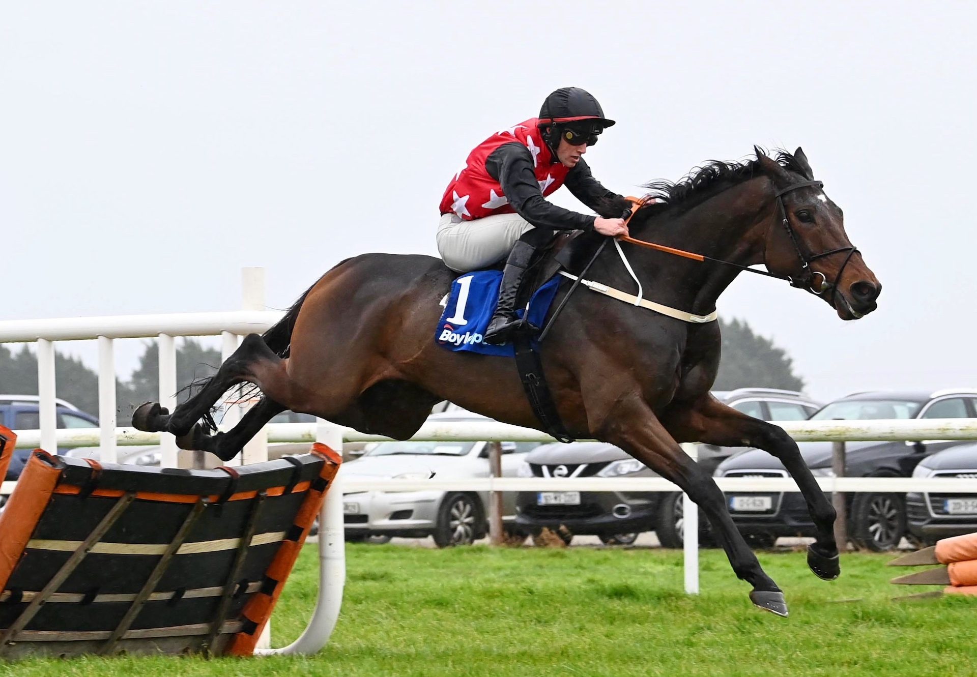 Fleur In The Park (Walk in the Park) Wins His Maiden Hurdle At Wexford