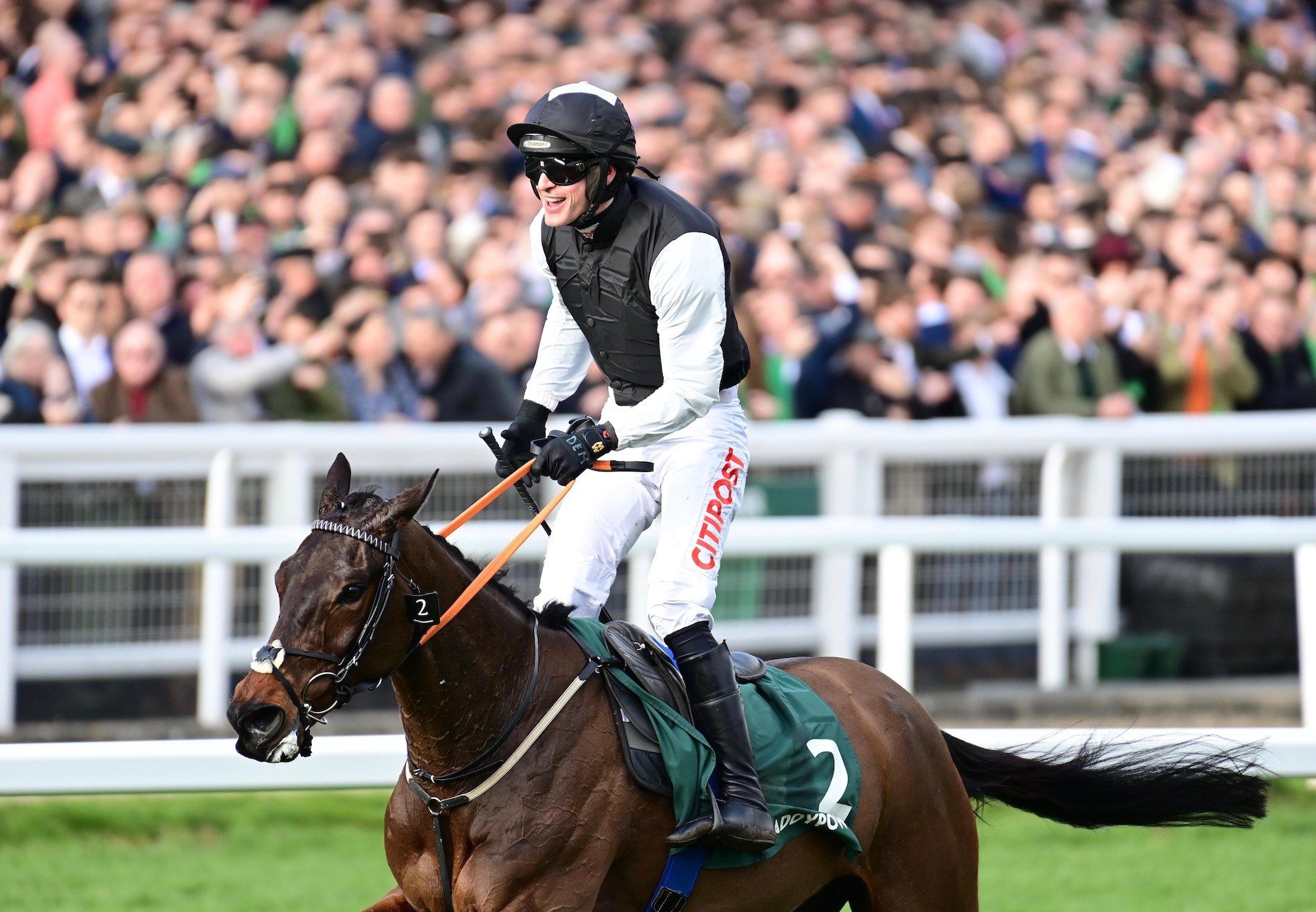 Flooring Porter (Yeats) Wins His Second Grade 1 Stayers Hurdle at Cheltenham