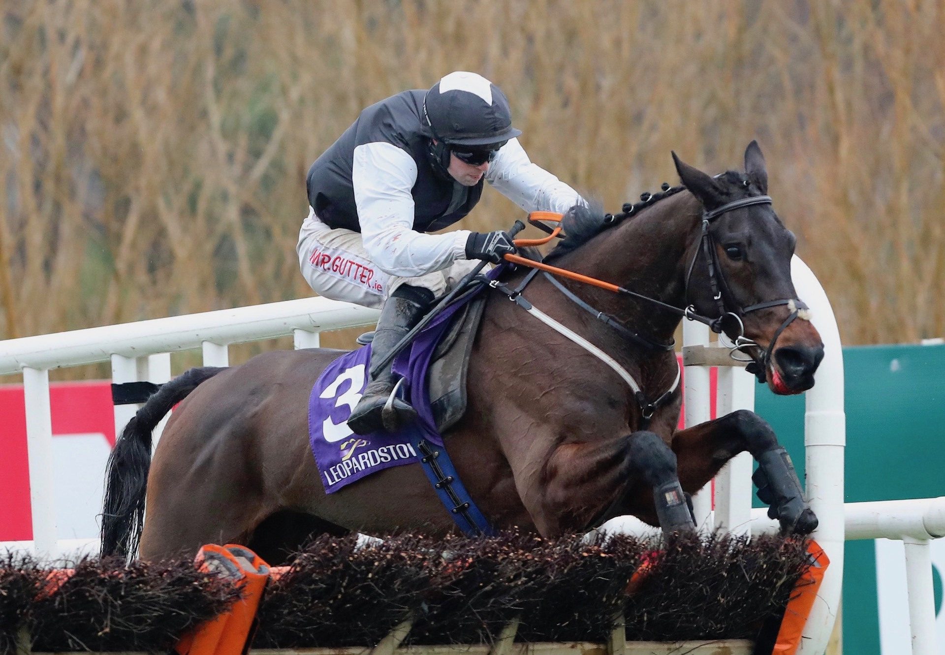 Flooring Porter (Yeats) Wins The Grade 1 Leopardstown Christmas Hurdle at Leopardstown