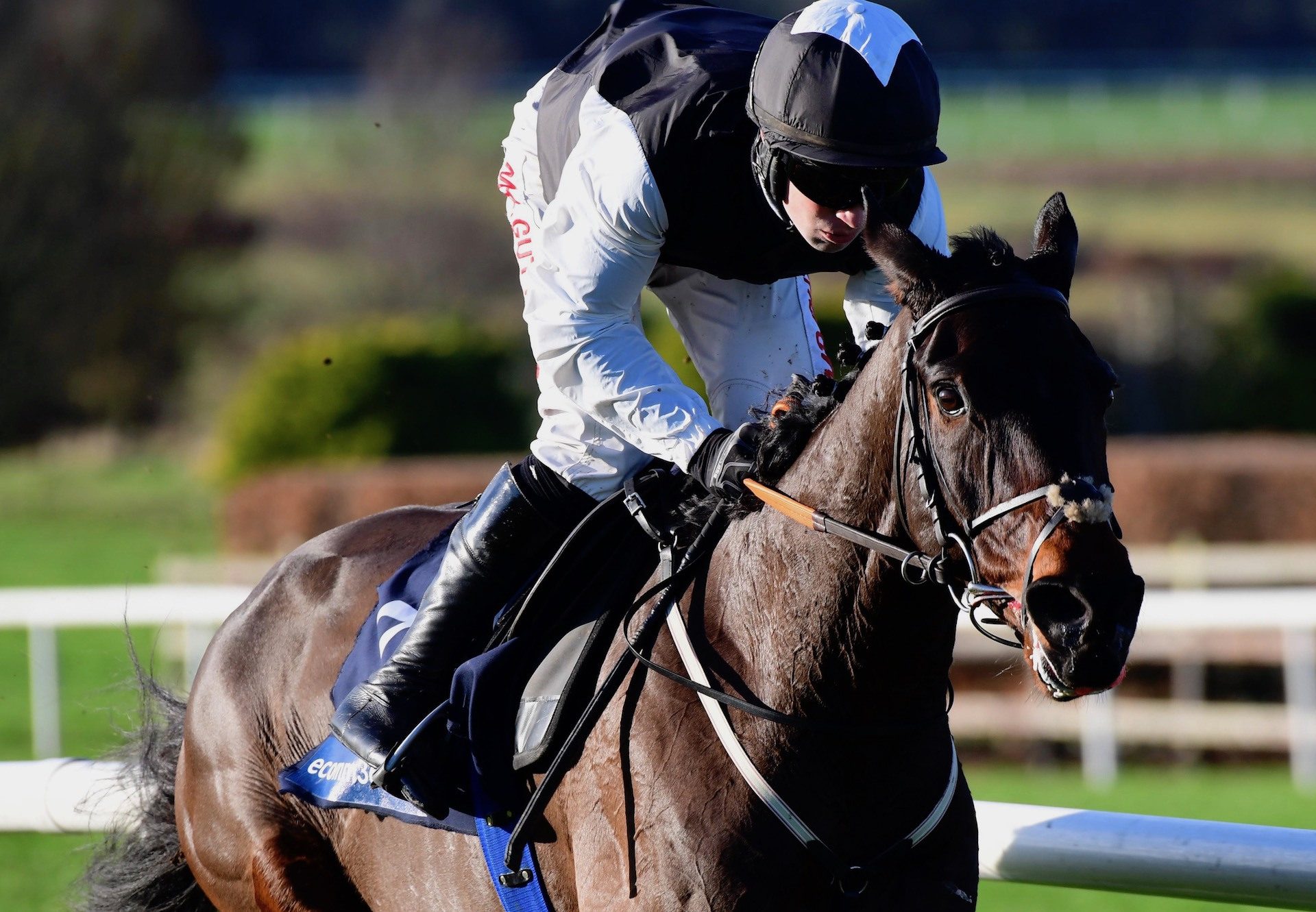 Flooring Porter (Yeats) Wins The Grade B Hurdle At Navan