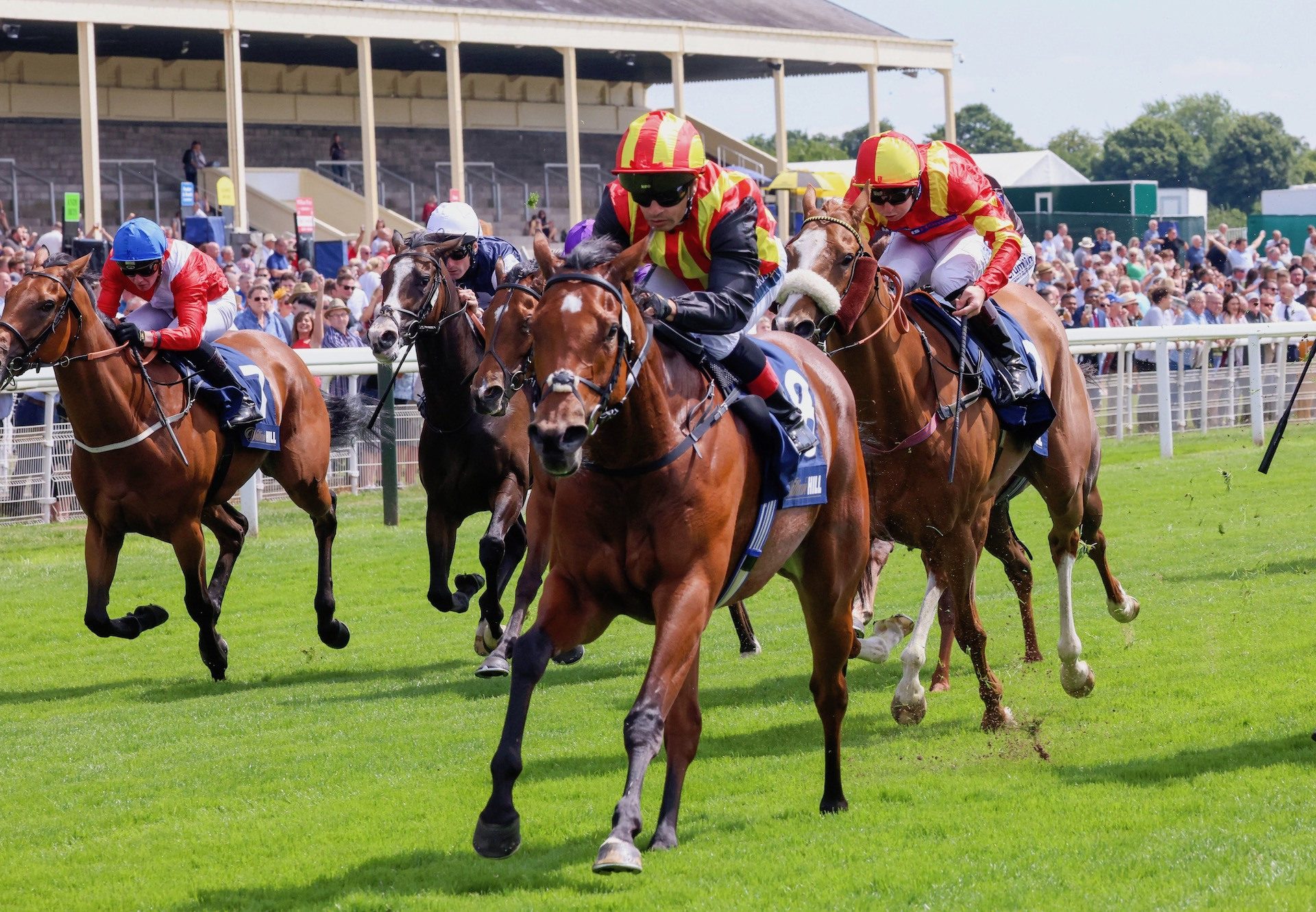 Flotus (Starspangledbanner) Wins The Group 3 Summer Stakes at York