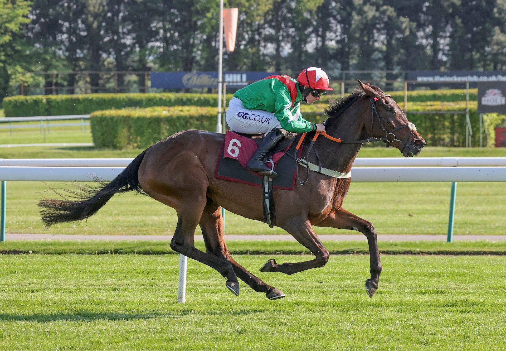 Flying Fortune (Soldier Of Fortune) Wins The Bumper At Haydock