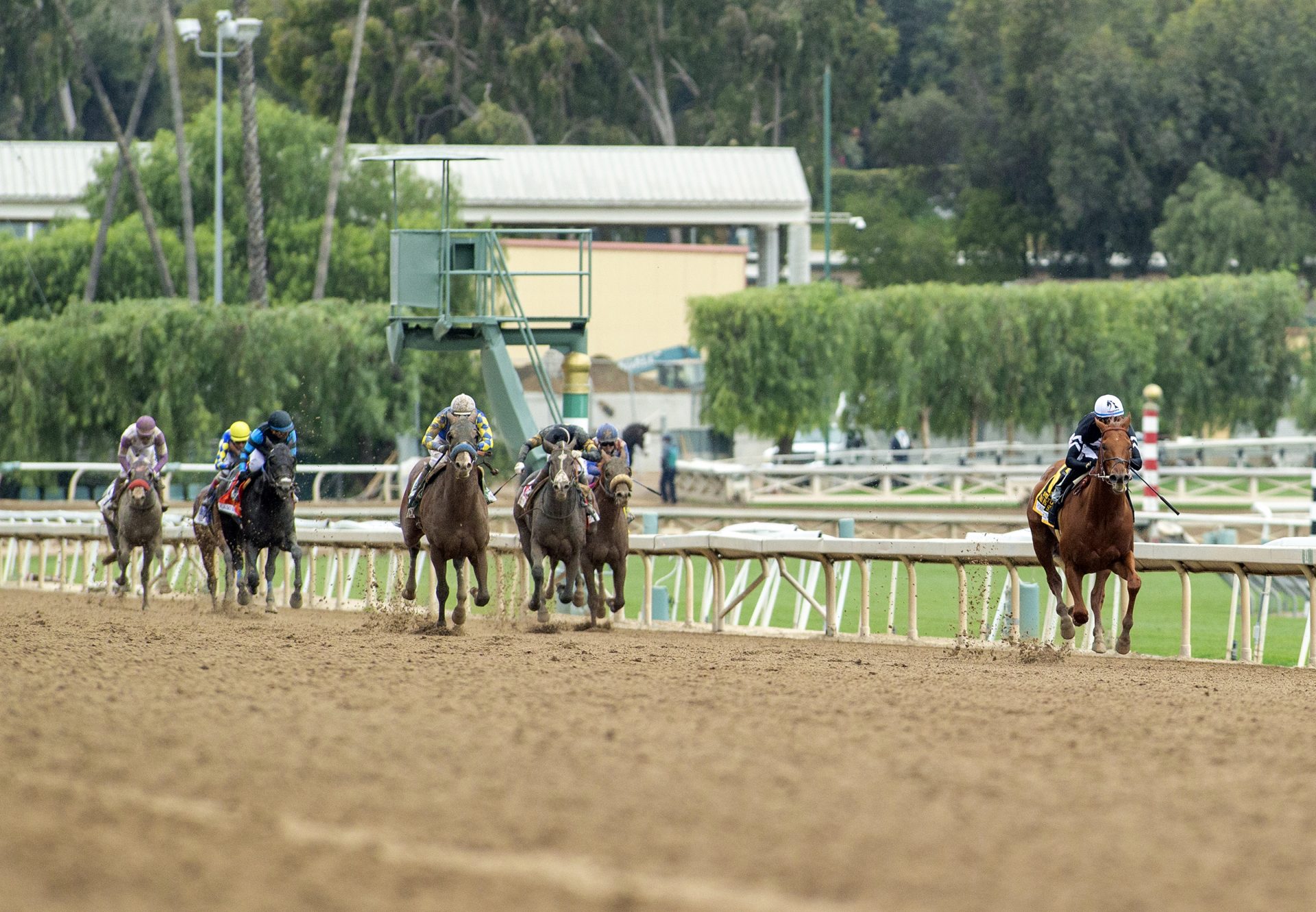 Forbidden Kingdom (American Pharoah) winning the Gr.2 San Felipe at Santa Anita