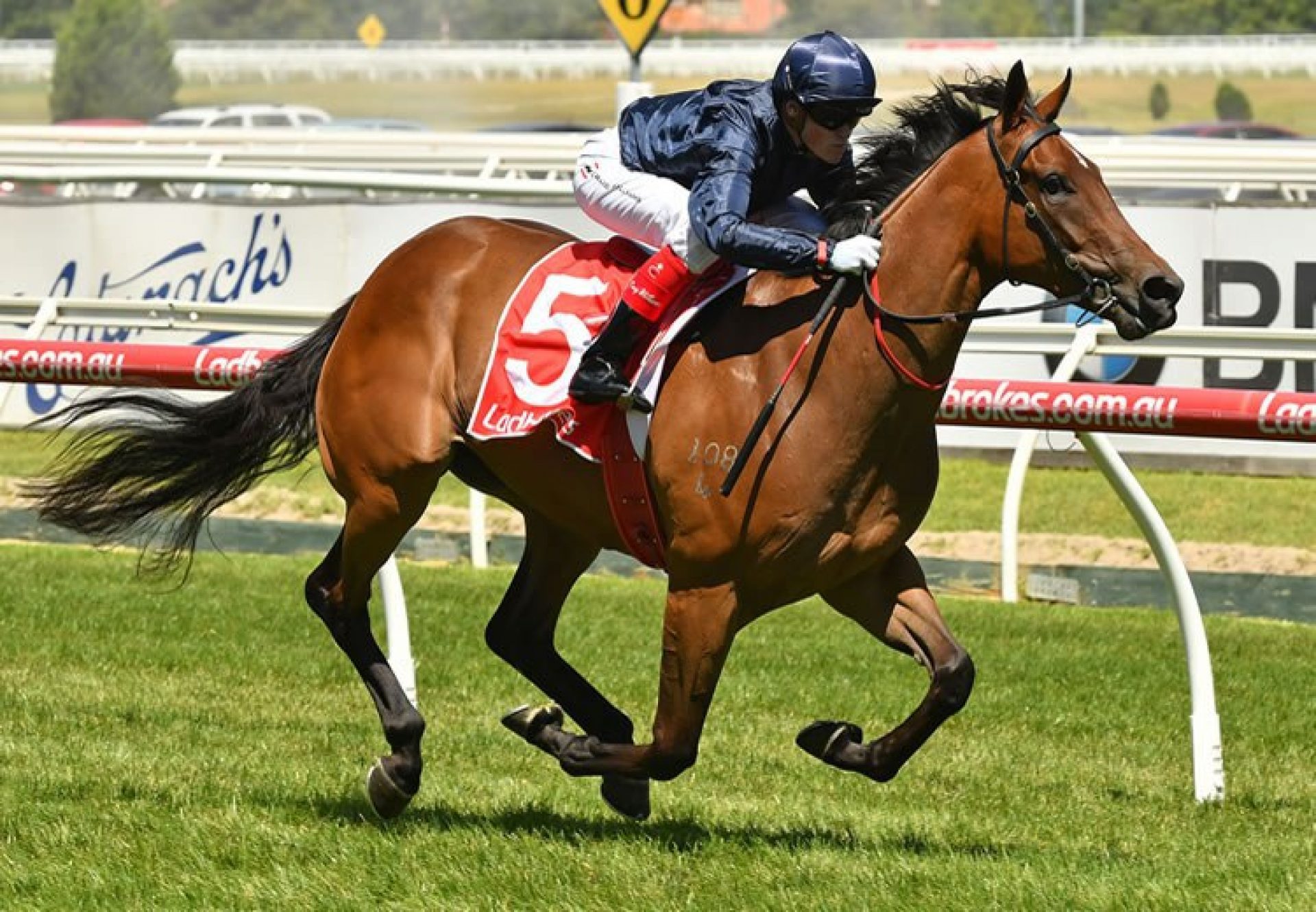 Formality (Fastnet Rock)