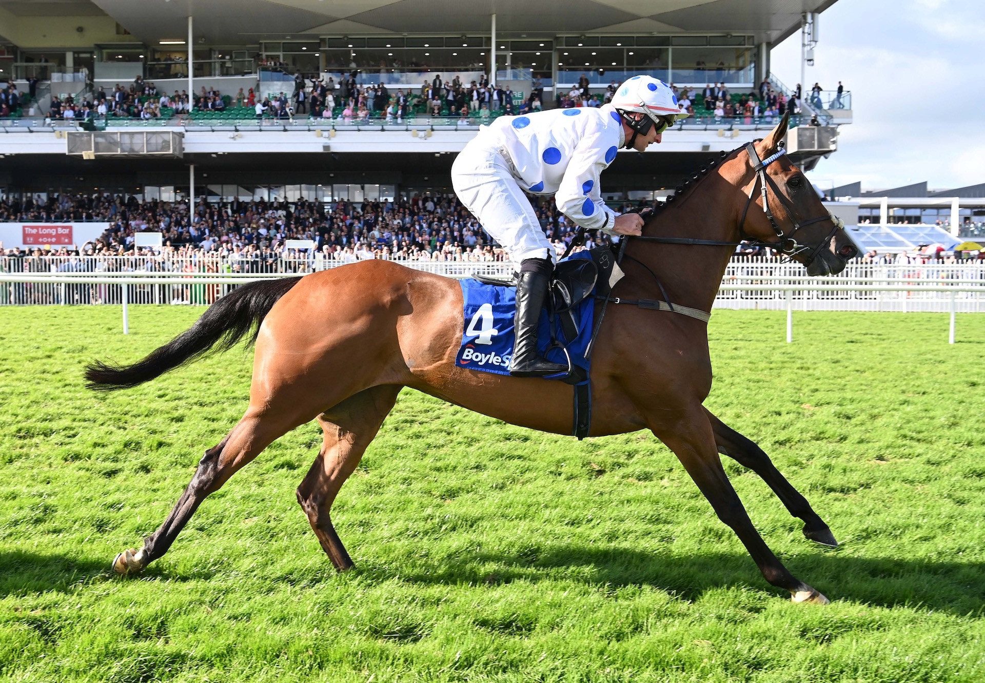 Fortunate Lighting (Soldier Of Fortune) Wins The Mares Bumper At Galway