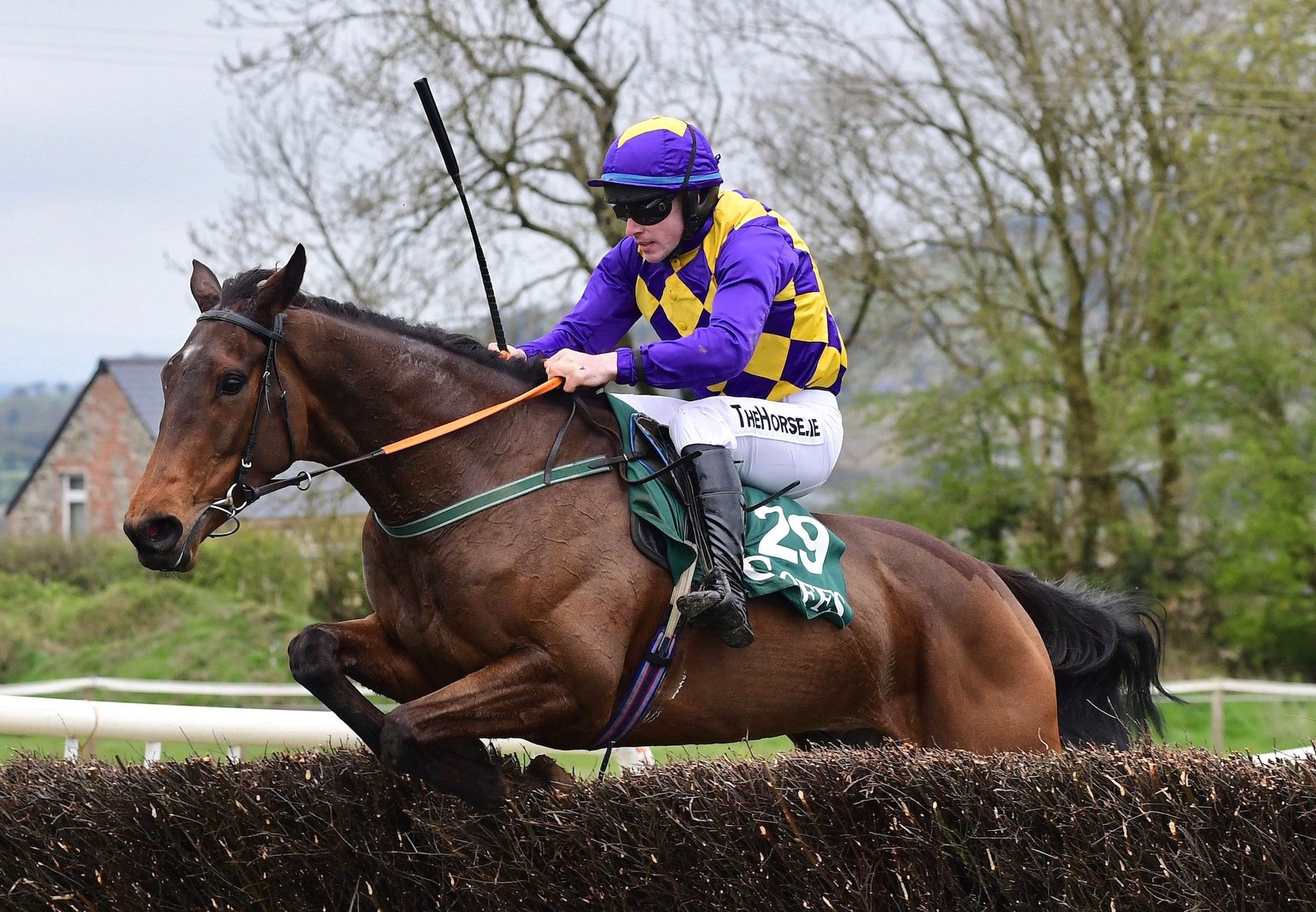 Fortunate Man (Soldier Of Fortune) Wins The 4 Yo Maiden At Dromahane