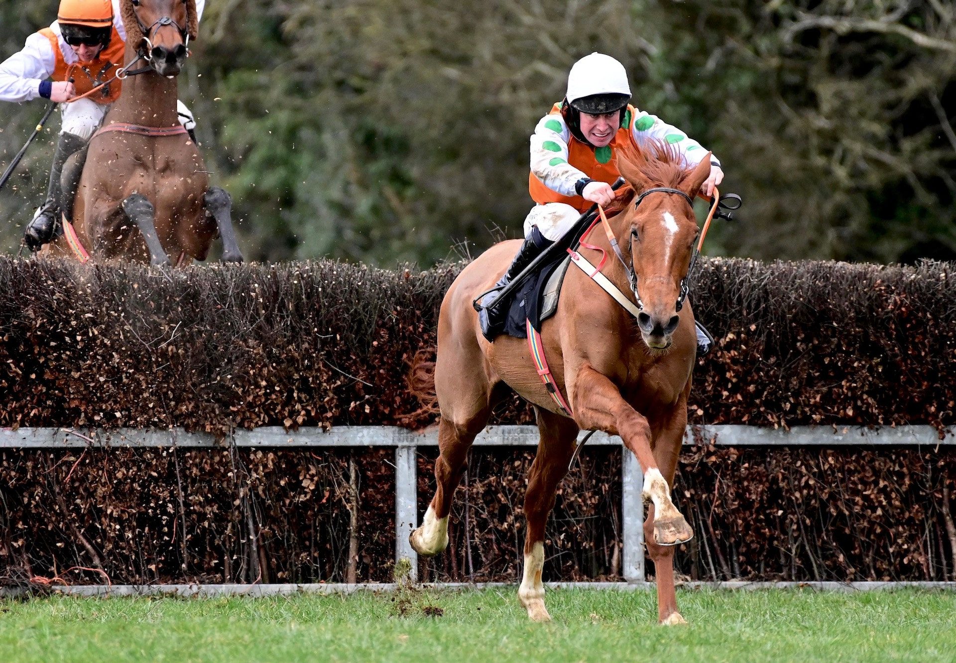 Fortune Dancer (Soldier Of Fortune) Wins At Tinahely