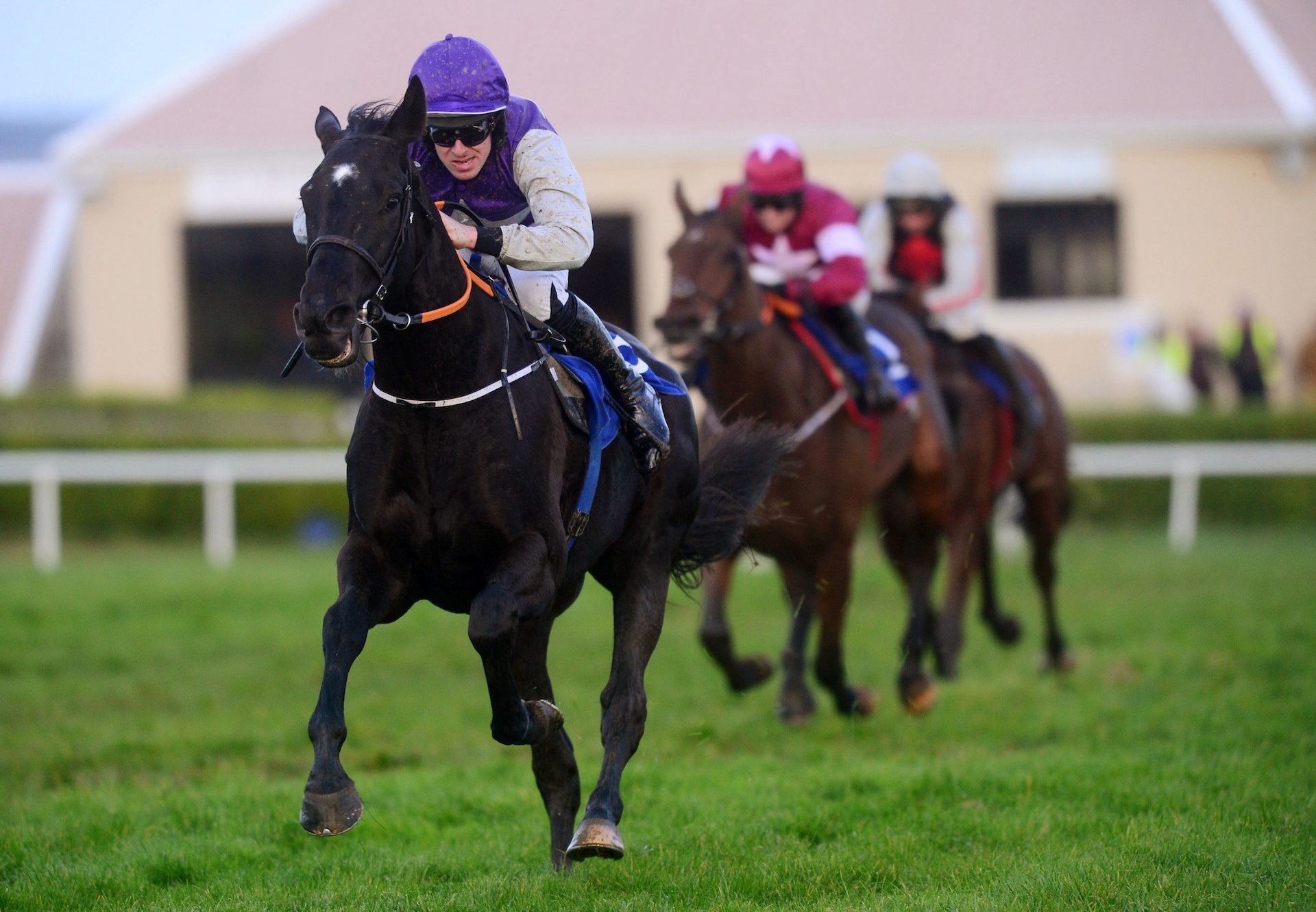 Fortune Street (Soldier Of Fortune) Wins At Wexford