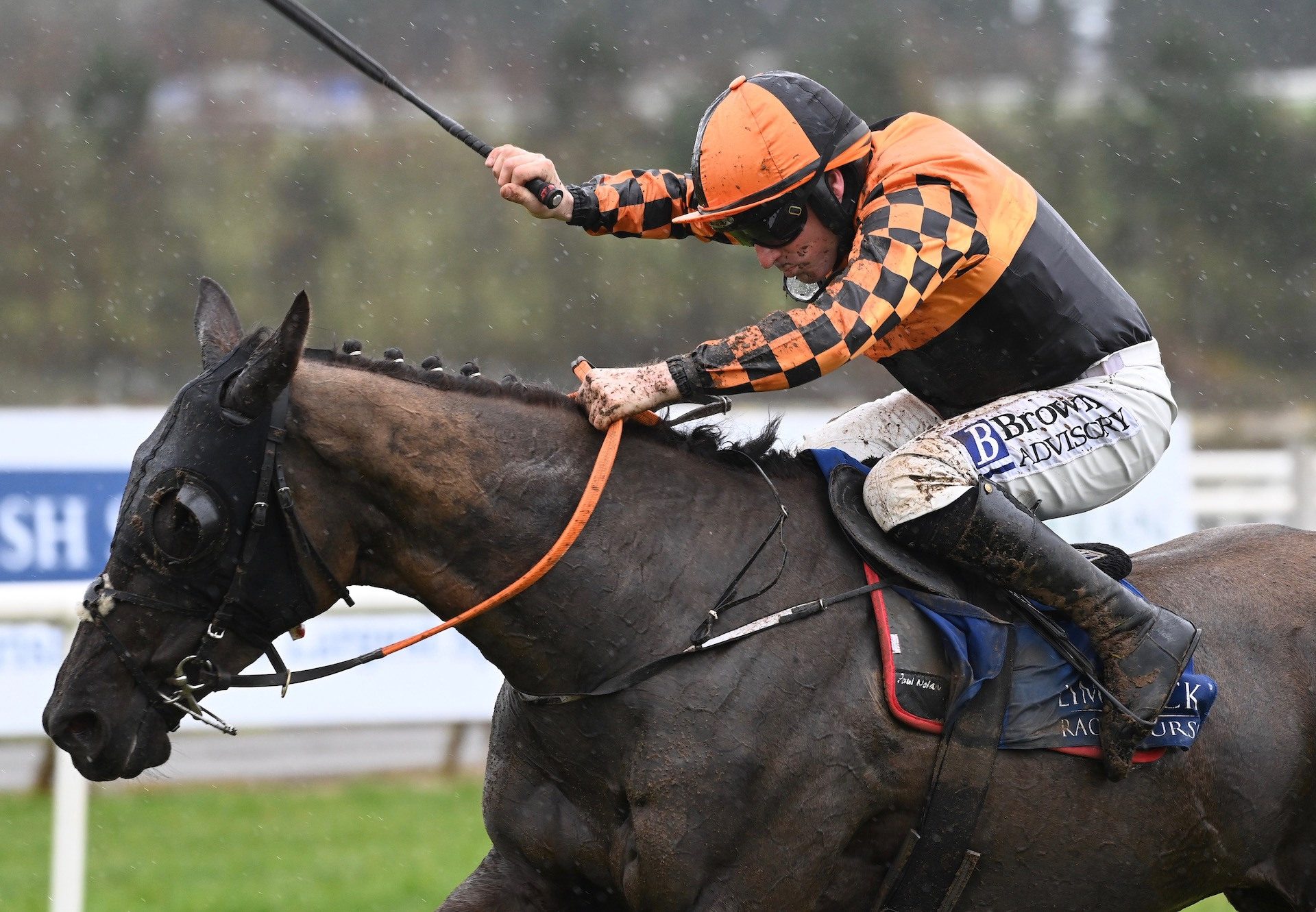 Fortunefavorsdbold (Solider Of Fortune) Wins The Maiden Hurdle At Limerick