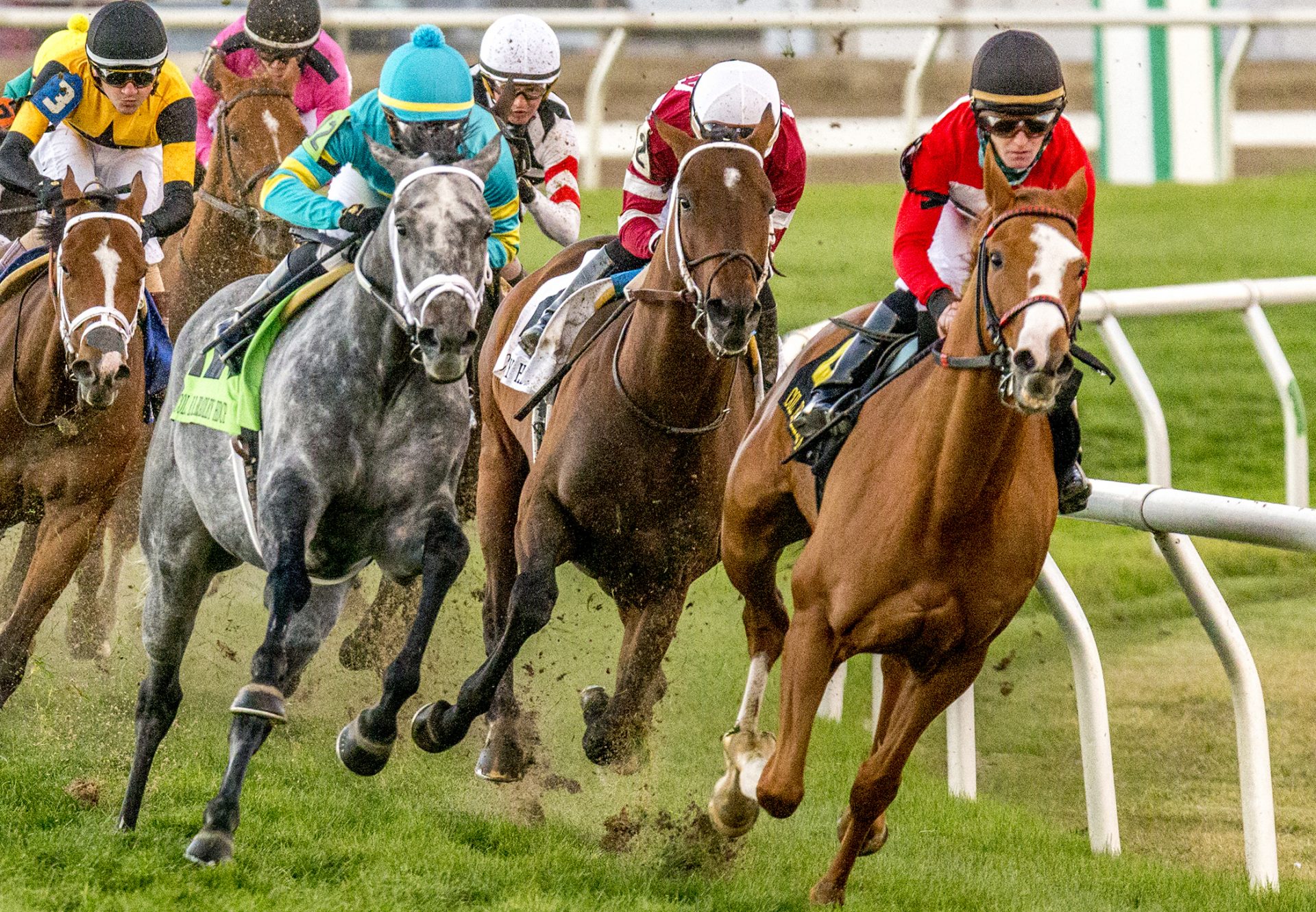 Forty Under (Uncle Mo) winning the Colonel E.R. Bradley Stakes at Fair Grounds