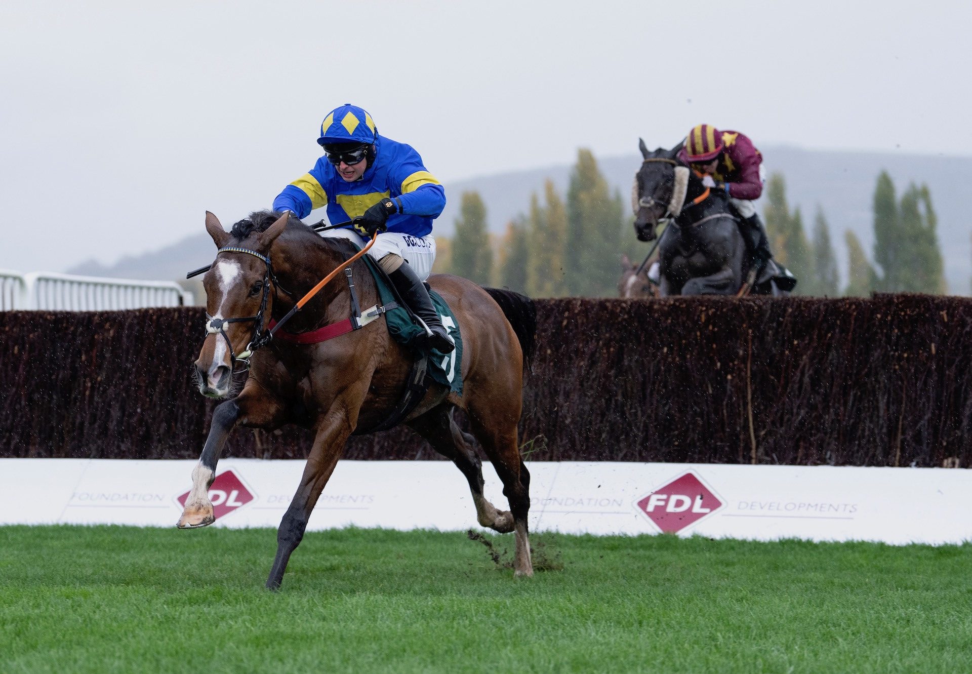 Found On (Mahler) Makes It Five In A Row At Cheltenham