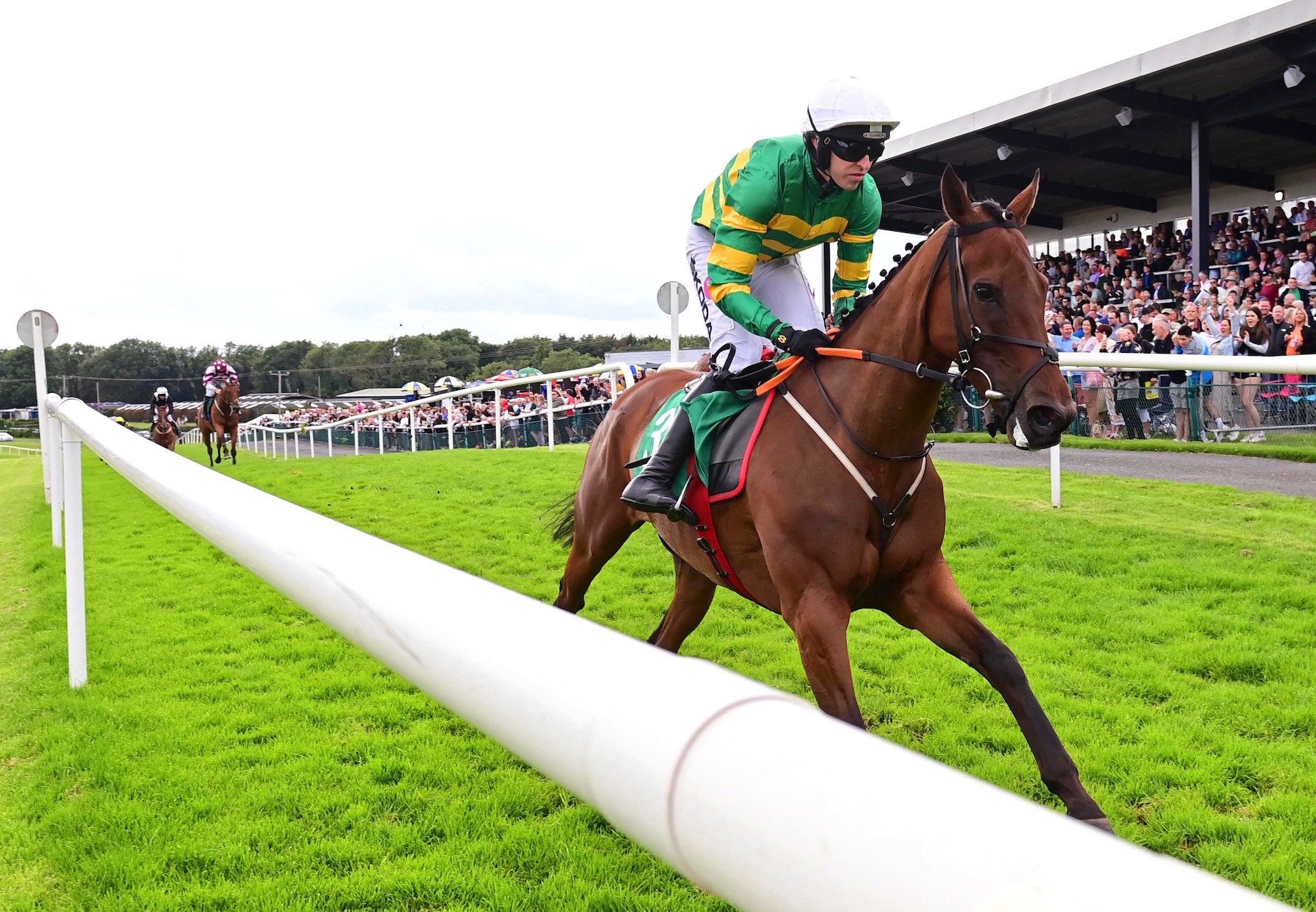 Foxfire Glow (Vadamos) Wins The Maiden Hurdle At Downpatrick