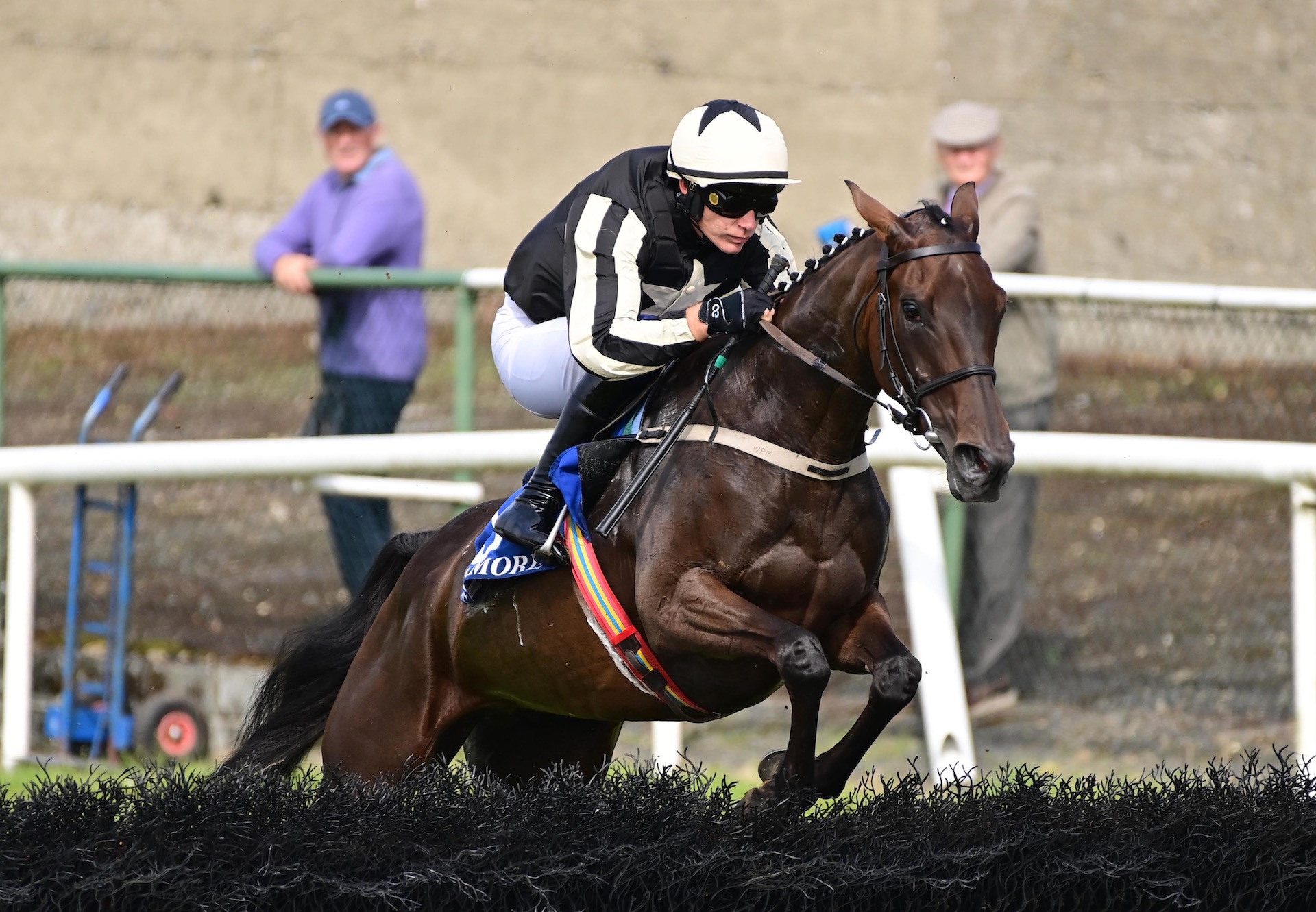Friends (Mahler) Wins The Maiden Hurdle At Tramore