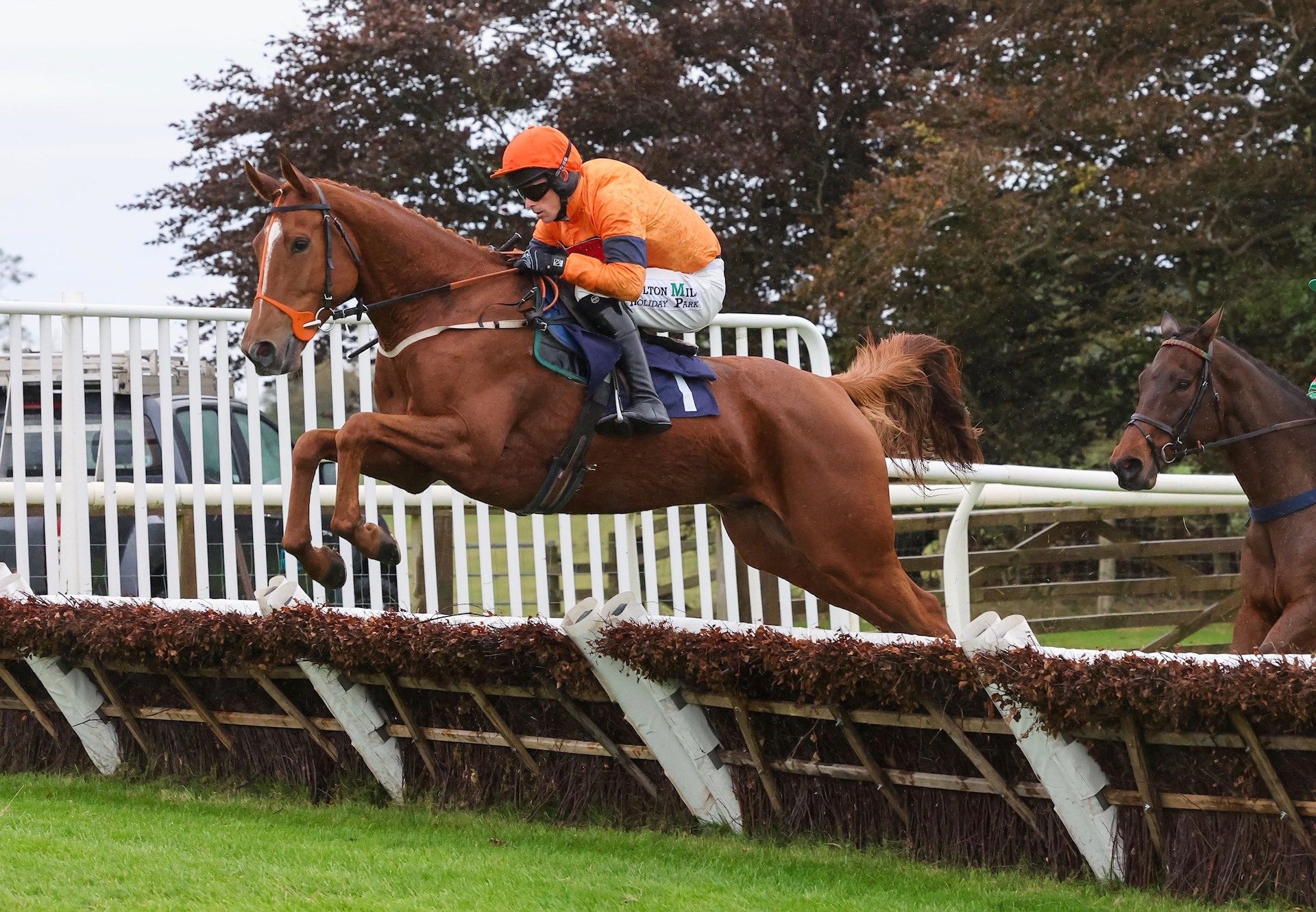 Fringill Dike (Mahler) Completes A Hat Trick At Hexham