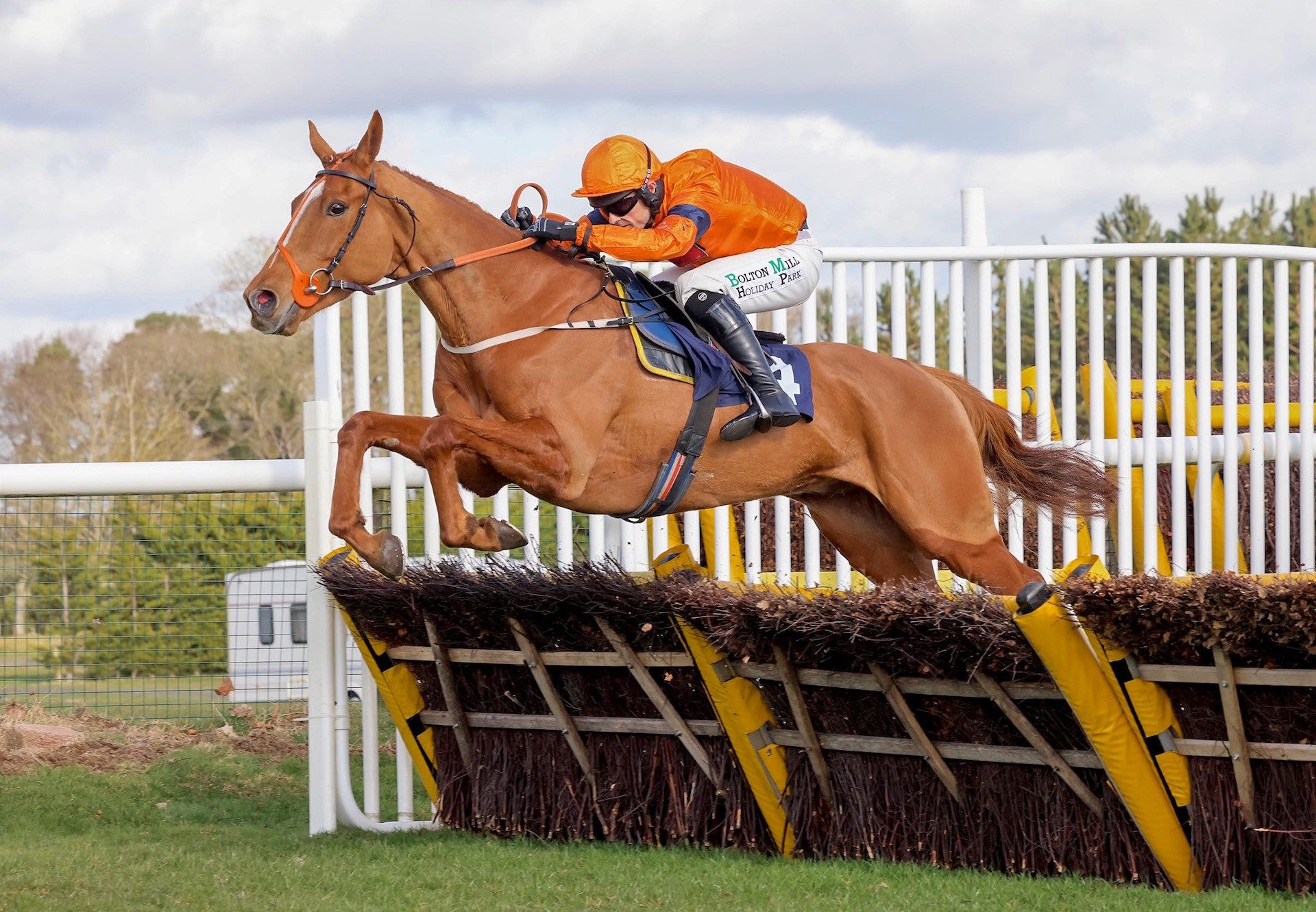 Fringill Dike (Mahler) Wins His Second Novice Hurdle At Hexham