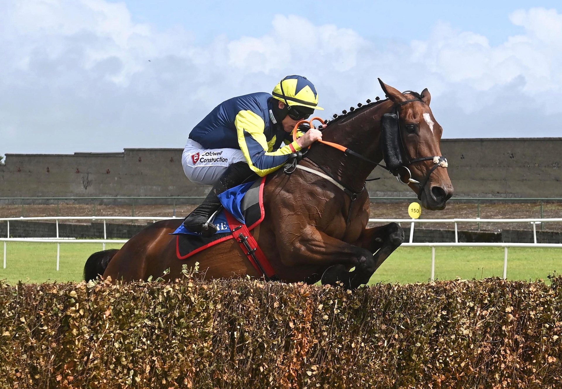Fruit Blossom (Yeats) Wins The Mares Beginners Chase At Tramore
