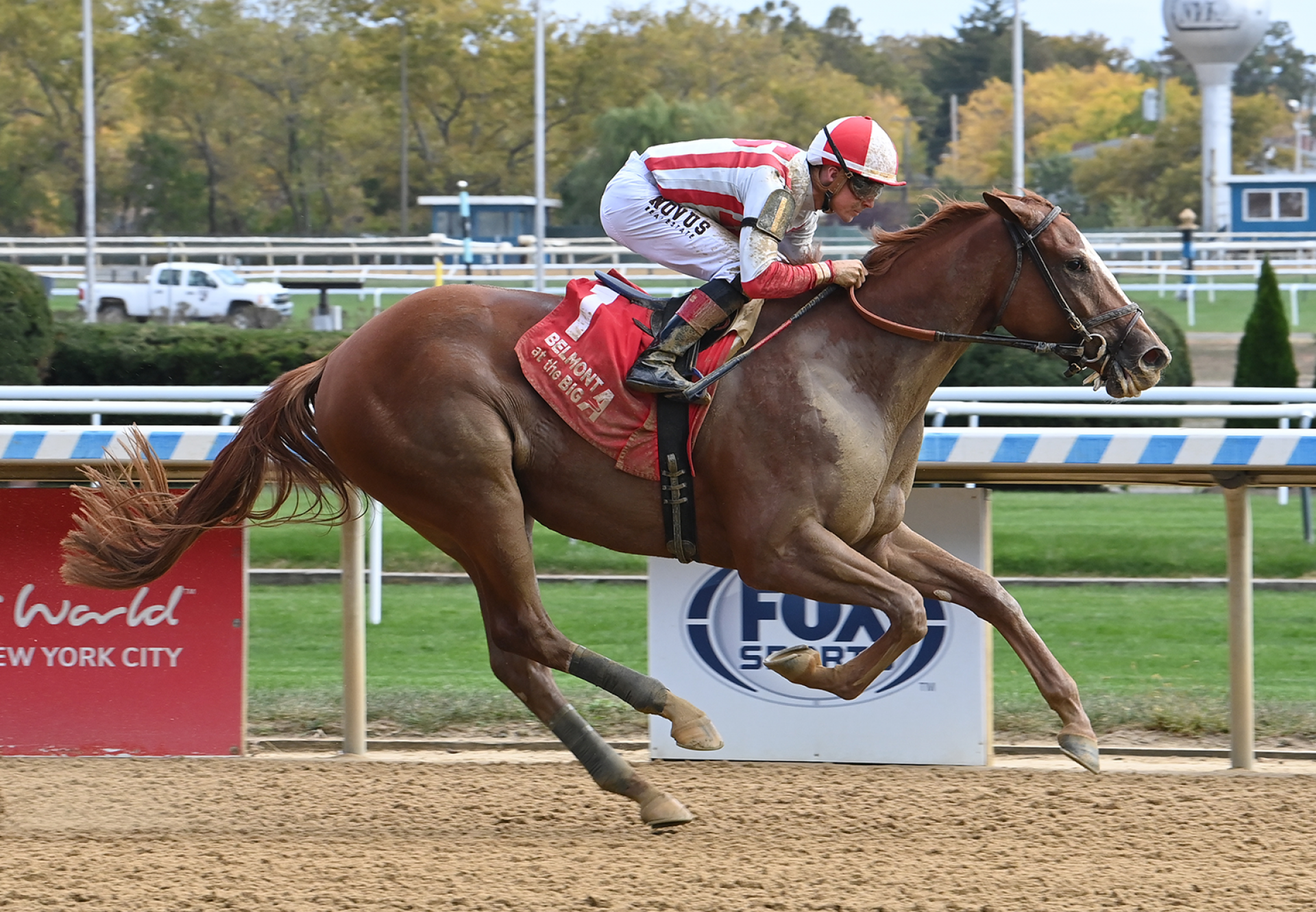 Fully Subscribed (Tiz The Law) Wins Aqueduct Msw