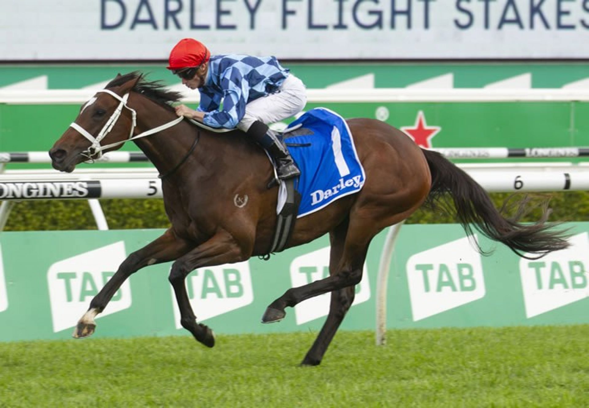 Funstar (Adelaide) winning the ATC Flight Stakes (1600m) at Randwick