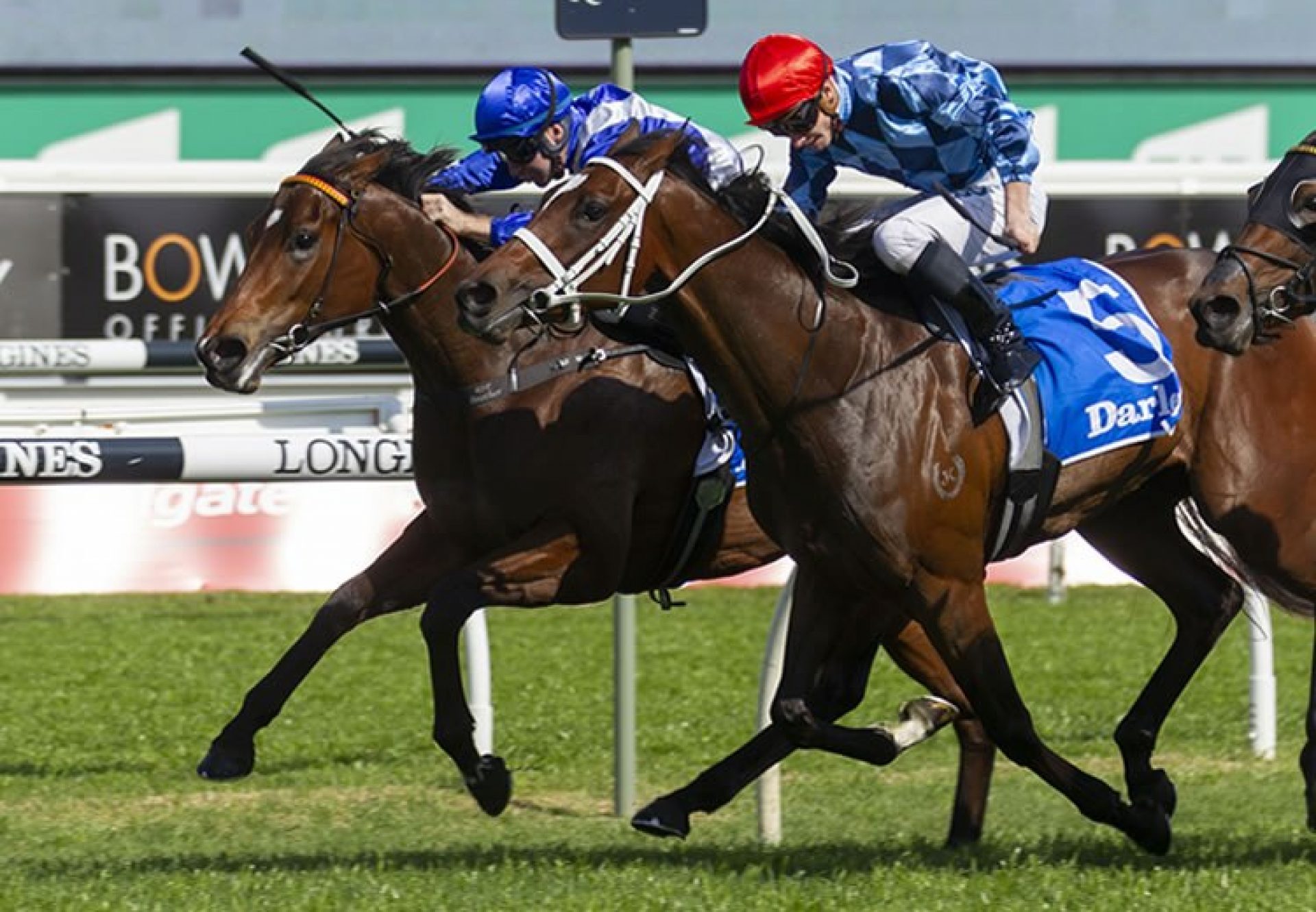 Funstar (Adelaide) winning the Gr.2 Tea Rose Stakes at Randwick