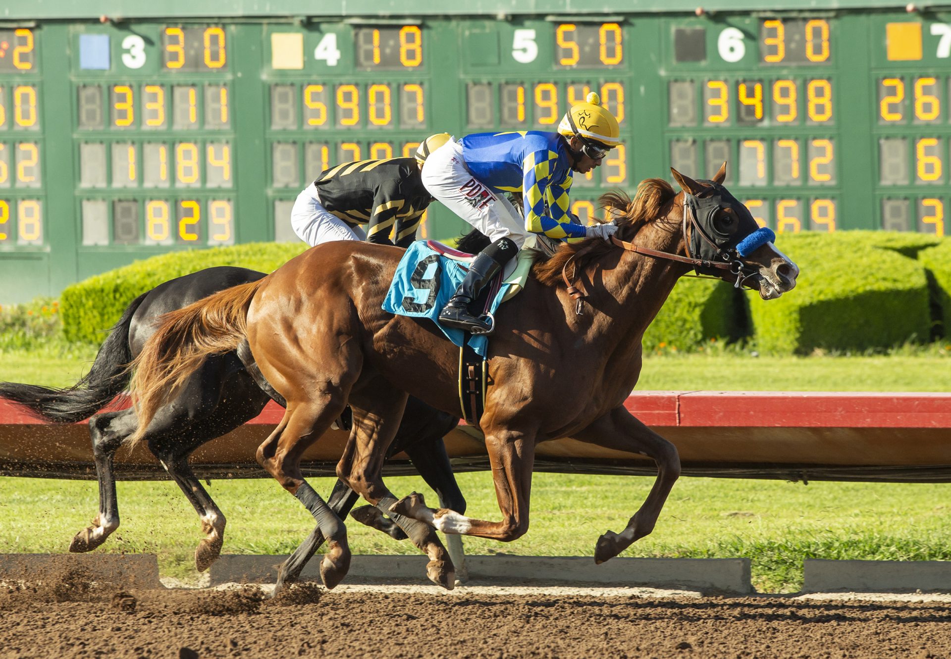 Gandolfini (Justify) Wins Los Alamitos MSW