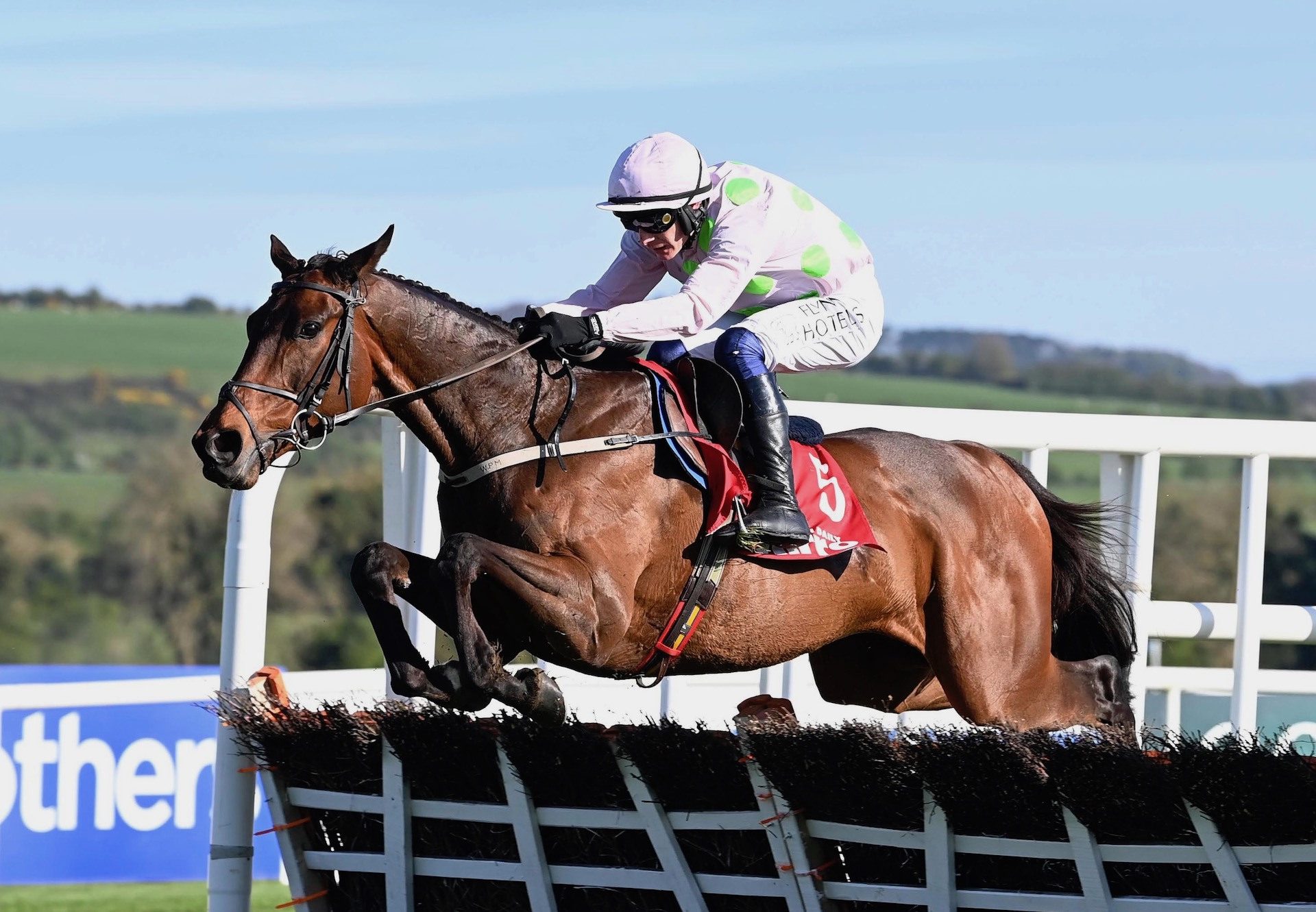 Gaelic Warrior (Maxios) Wins The Grade 1 Irish Mirror Novice Hurdle at Punchestown